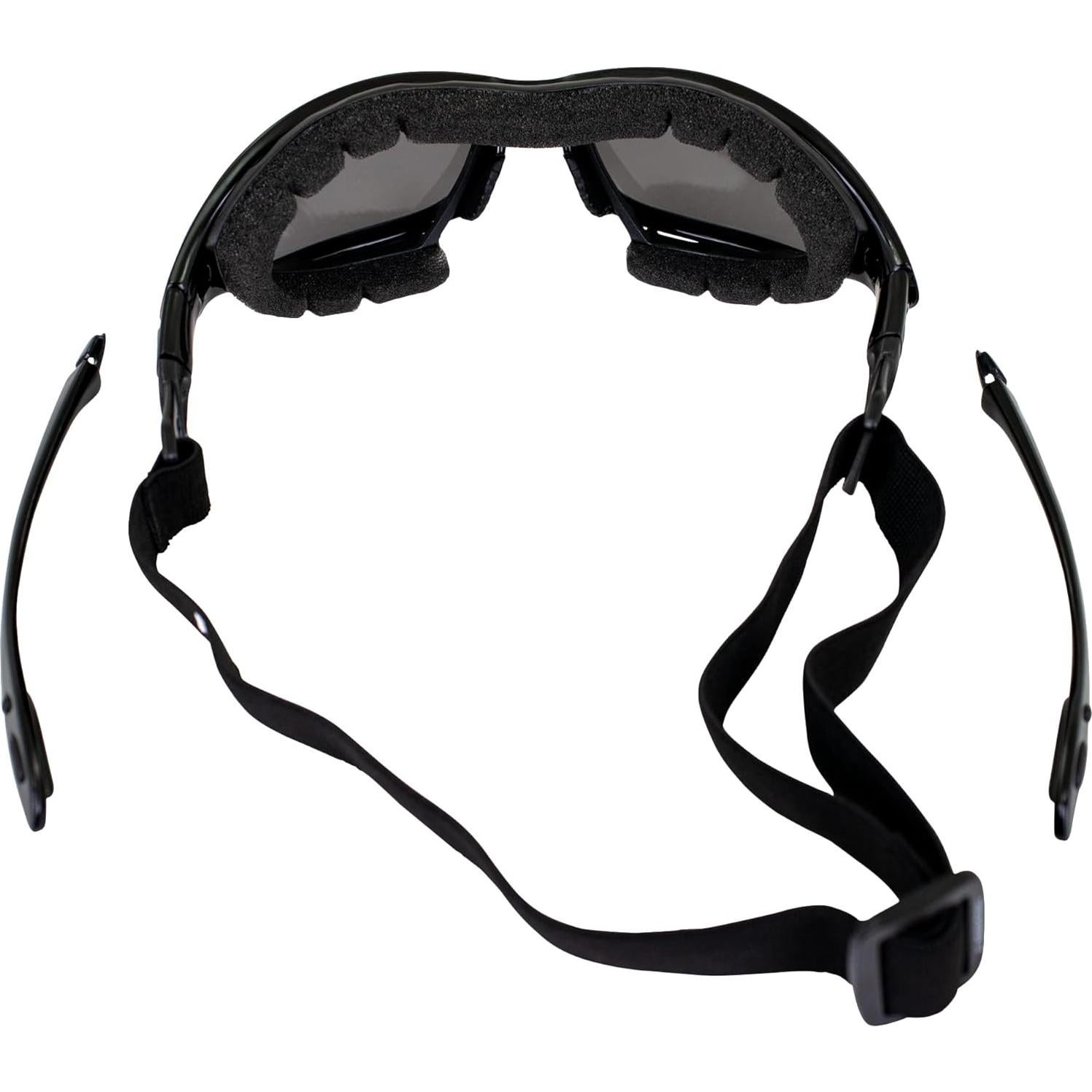 Gafas de Motocicleta Birdz Eyewear Thrasher - Lentes Ahumadas