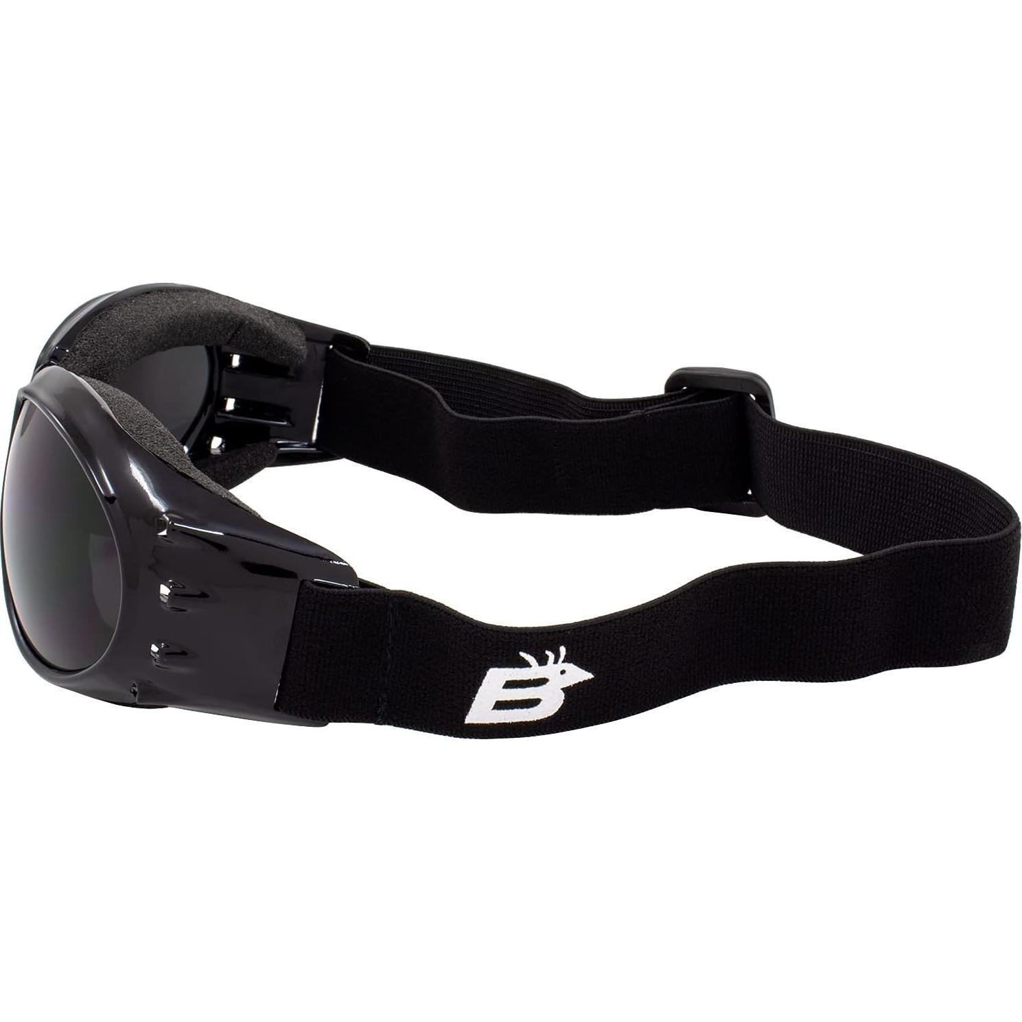 Gafas de Motocicleta Birdz Eyewear Eagle Antivaho UV