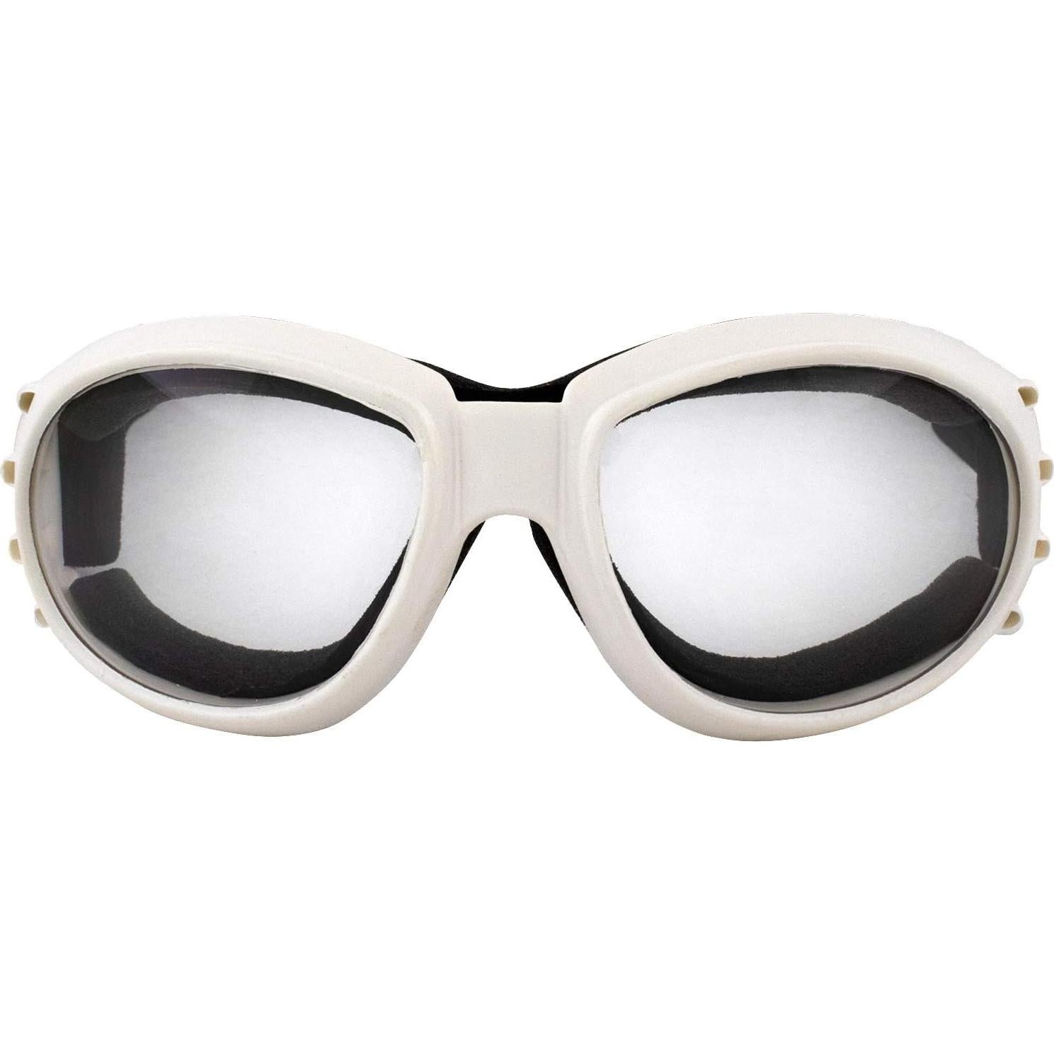 Gafas de Protección Birdz Eyewear Eagle para Motocicleta y Paracaidismo - 2 Pares