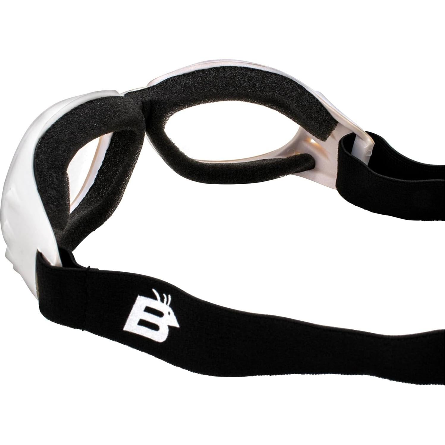 Gafas de Protección Birdz Eyewear Eagle para Motocicleta y Paracaidismo - 2 Pares