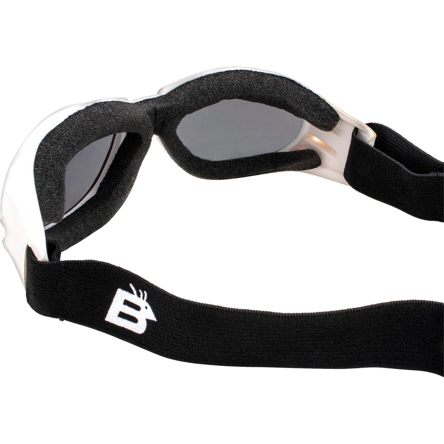 Gafas de Protección Birdz Eyewear Eagle para Motocicleta y Paracaidismo - 2 Pares