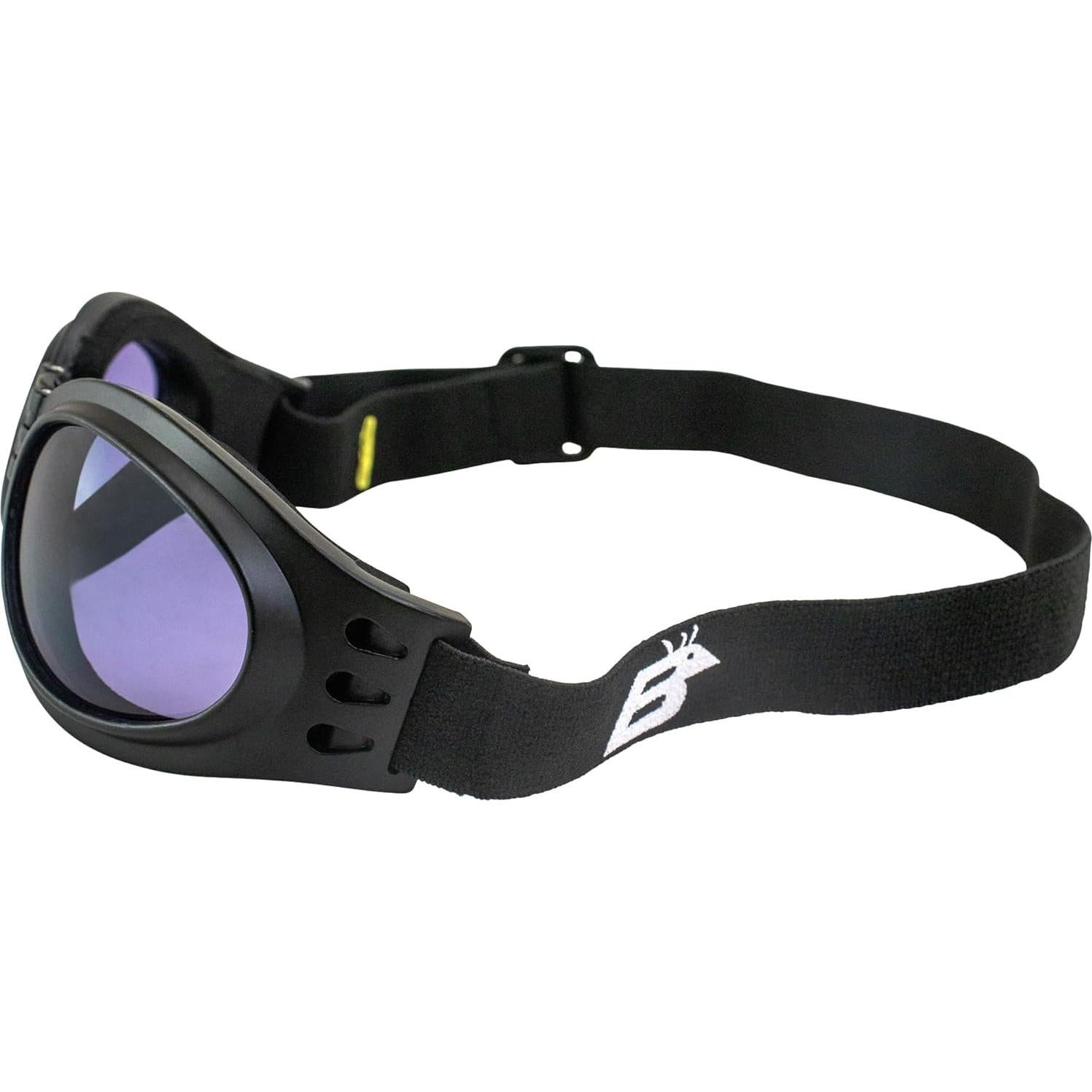 Gafas de Motocicleta Birdz Eyewear Parrot Plegables Neopreno Lente Púrpura