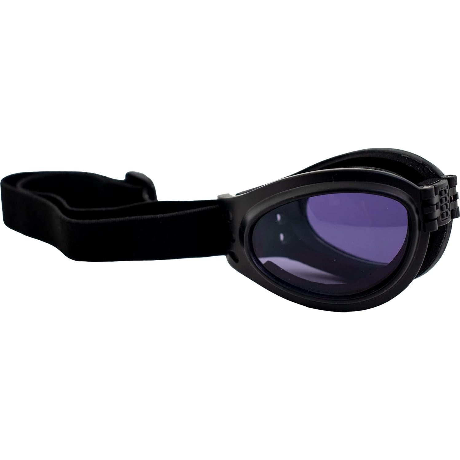 Gafas de Motocicleta Birdz Eyewear Parrot Plegables Neopreno Lente Púrpura