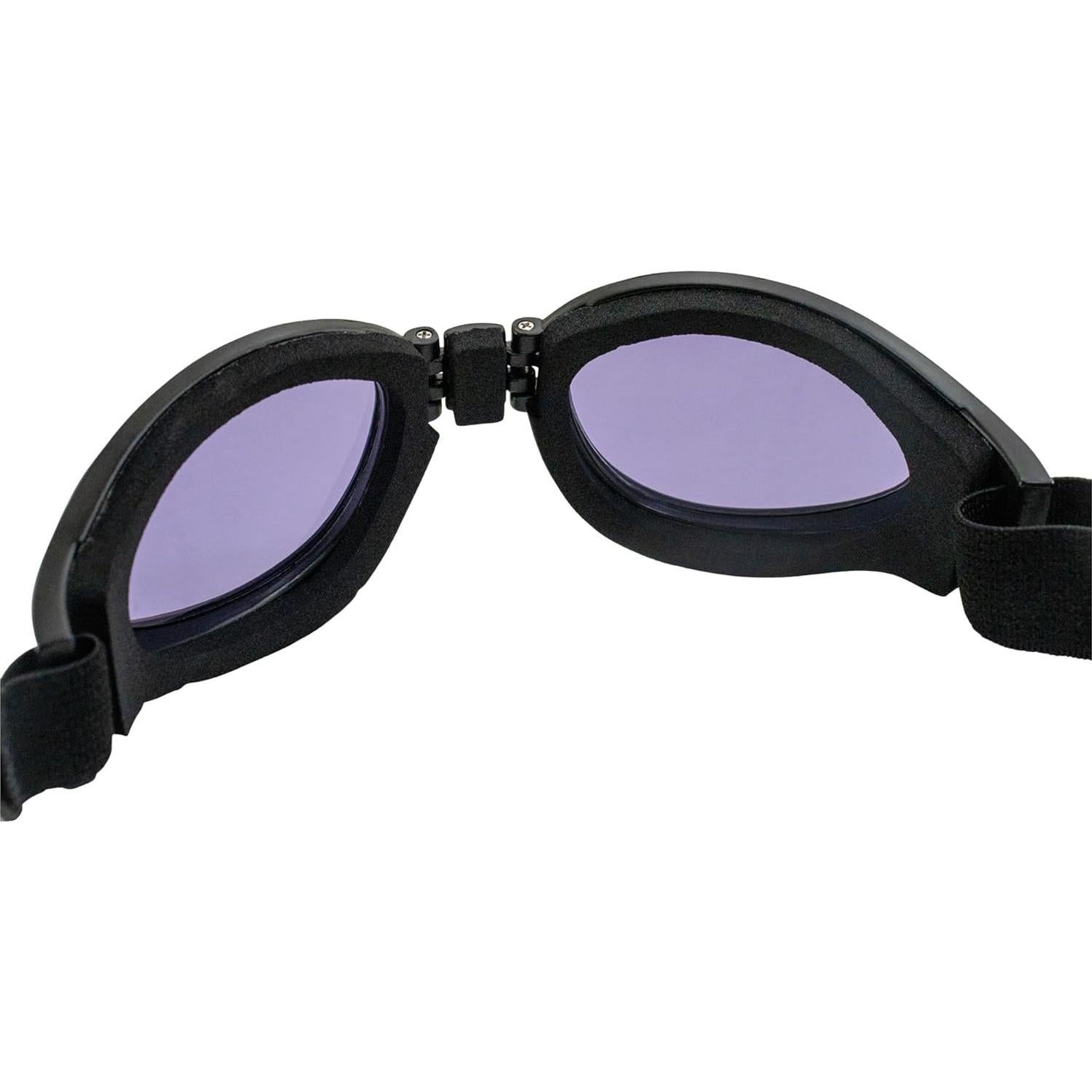 Gafas de Motocicleta Birdz Eyewear Parrot Plegables Neopreno Lente Púrpura