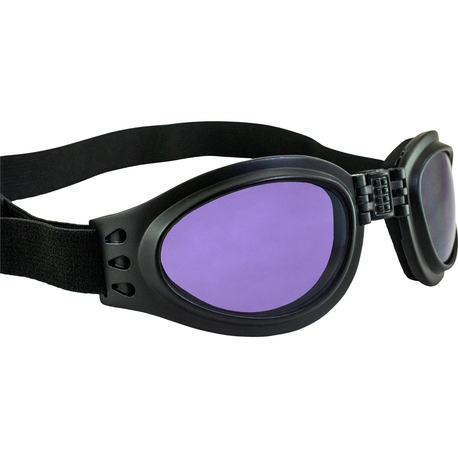 Gafas de Motocicleta Birdz Eyewear Parrot Plegables Neopreno Lente Púrpura