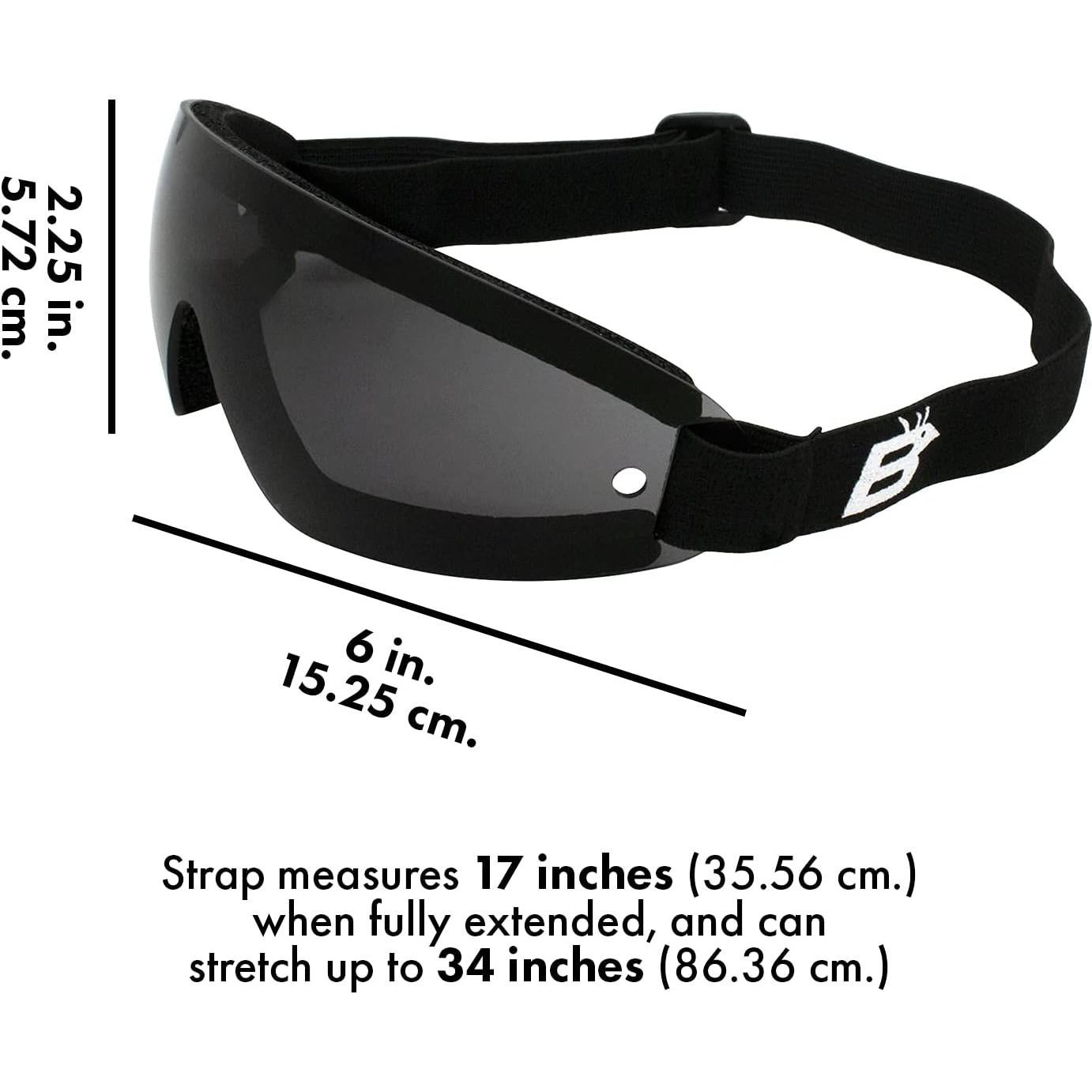 Gafas de Protección Birdz Eyewear WINGKIT - Set 4 Lentes