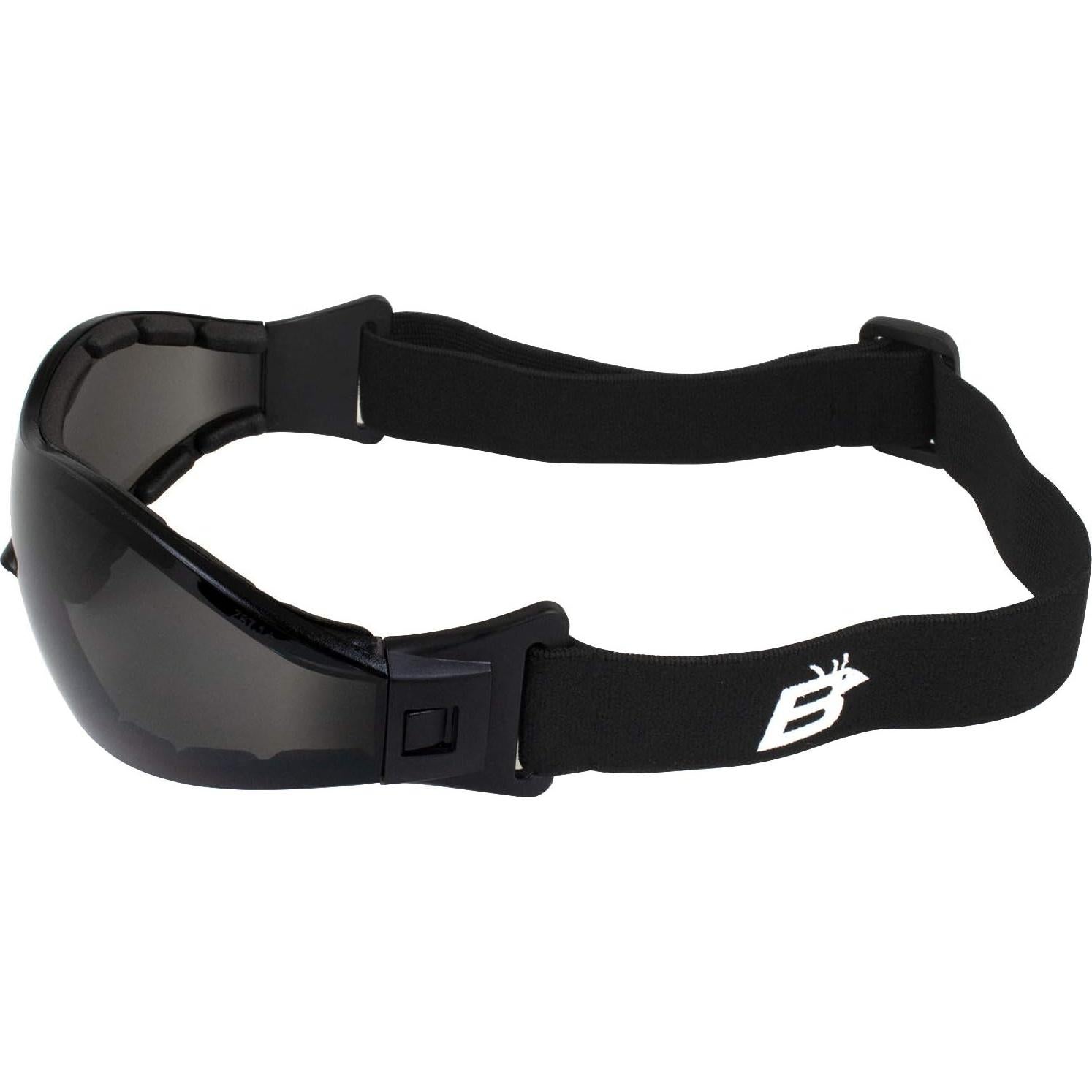 Gafas Birdz Boogie 4 Pares con Acolchado para Motocicleta y Esquí