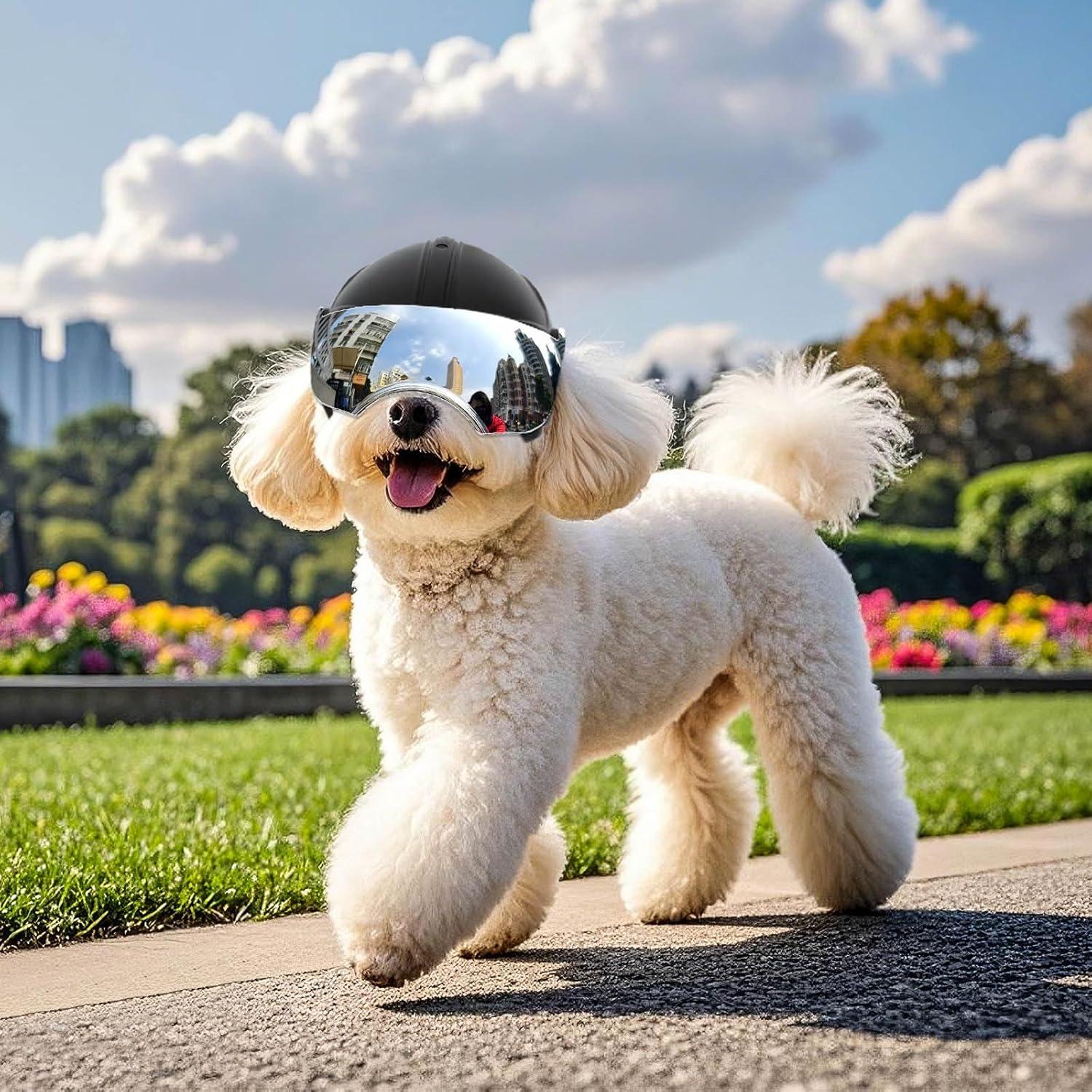 Casco para Perros PETLESO con Gafas Antivaho Plateadas 15x12x10cm