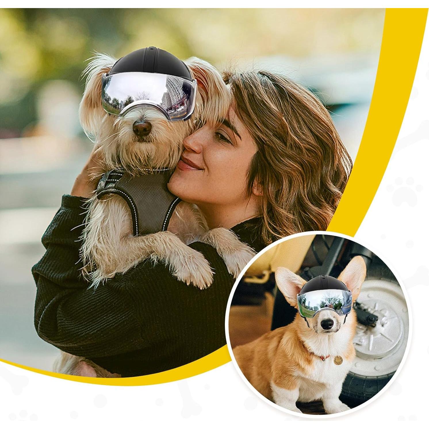 Casco para Perros PETLESO con Gafas Antivaho Plateadas 15x12x10cm