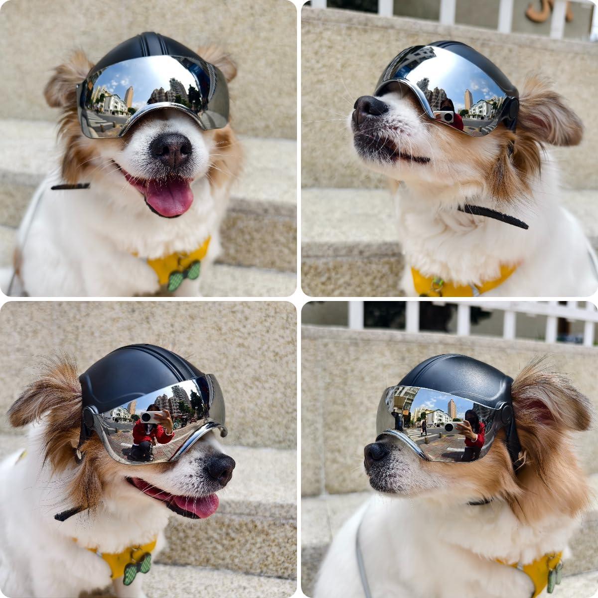 Casco para Perros PETLESO con Gafas Antivaho Plateadas 15x12x10cm