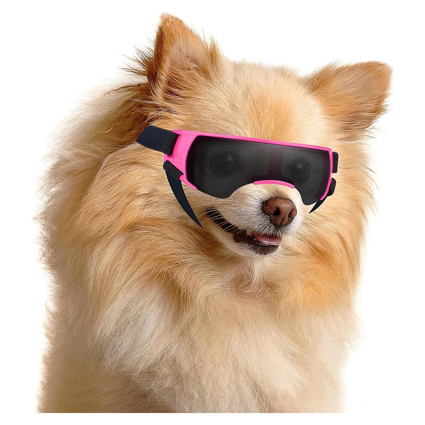 Gafas de Sol para Perros Pequeños Disfrutando - Rosa