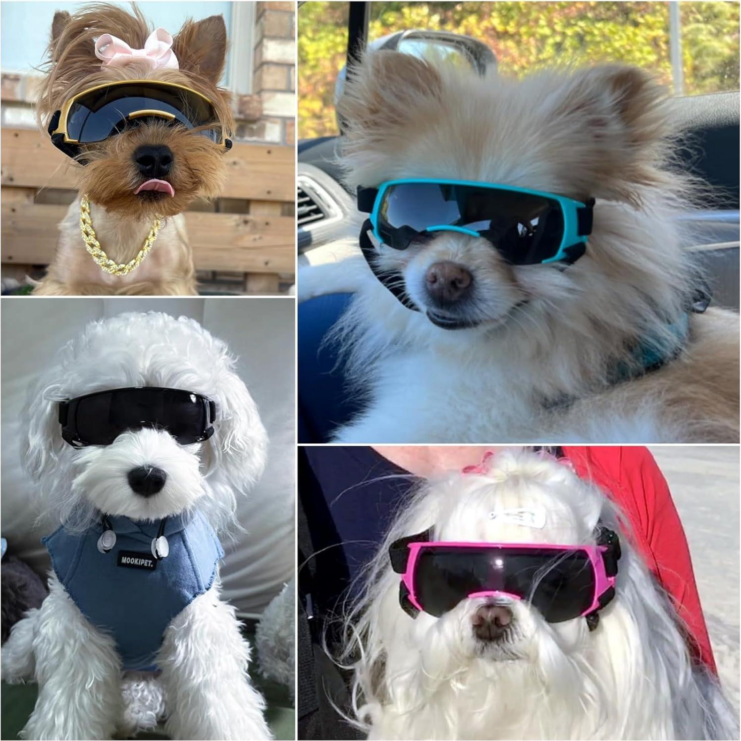 Gafas de Sol para Perros Pequeños Disfrutando - Rosa