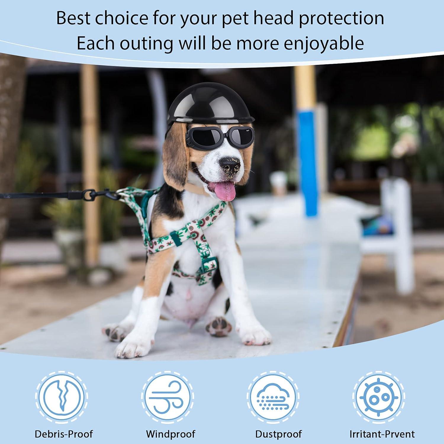 Casco y Gafas para Perros Frienda, Protección UV, Pequeño