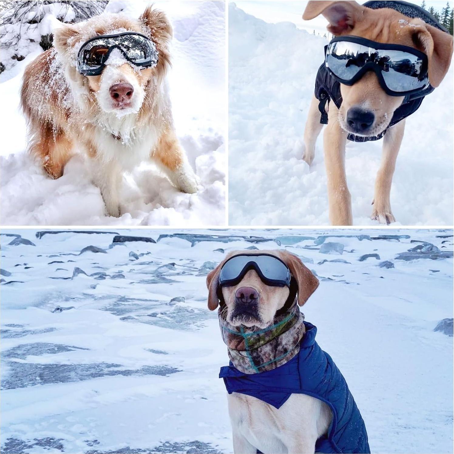 Gafas de Sol para Perros NAMSAN UV400, 2 Piezas, Medianas a Grandes