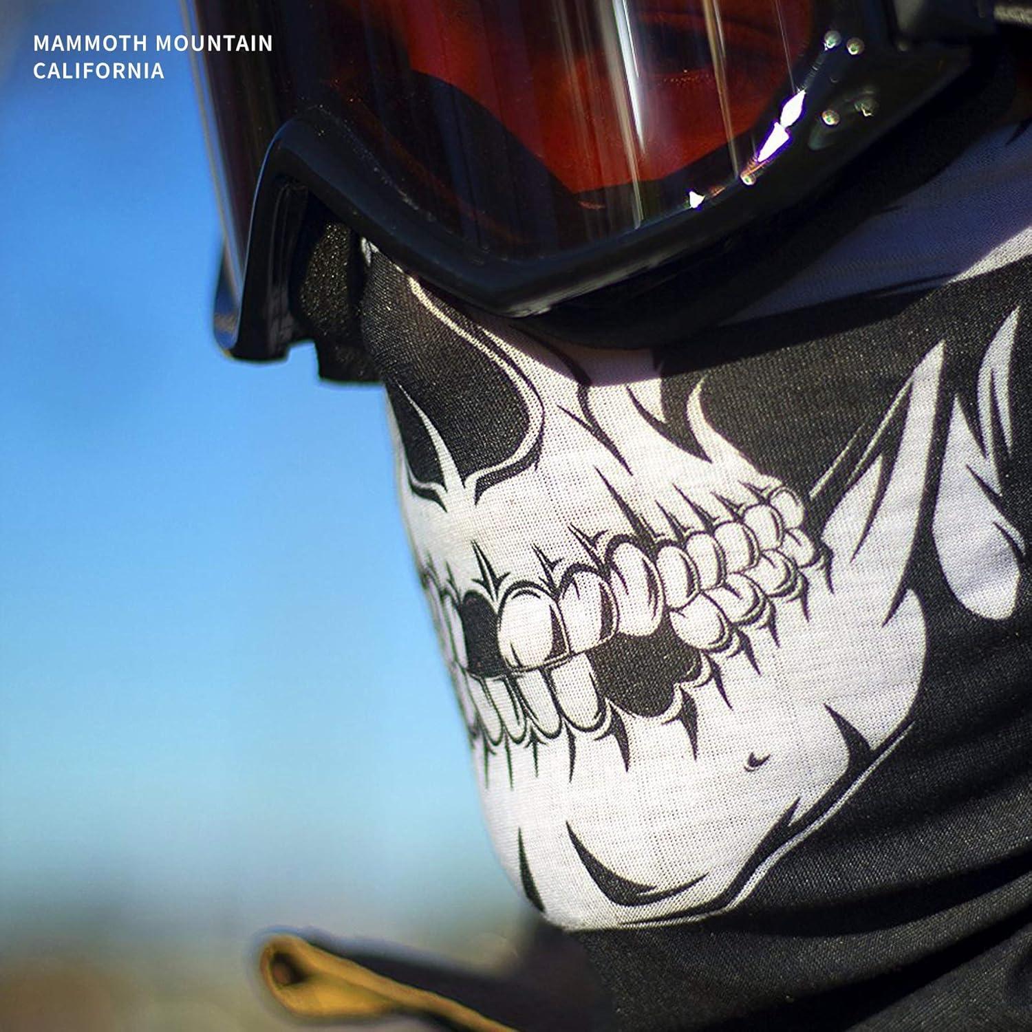 Máscara Facial de Motocicleta Indie Ridge Skull - Invierno