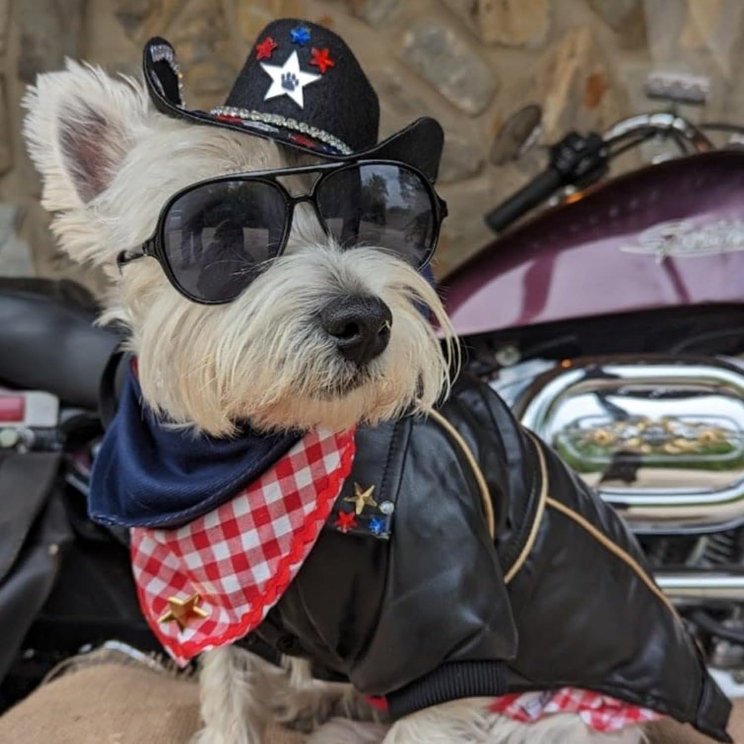 Chaqueta de Cuero para Perros NIULA 2XL Impermeable Negra