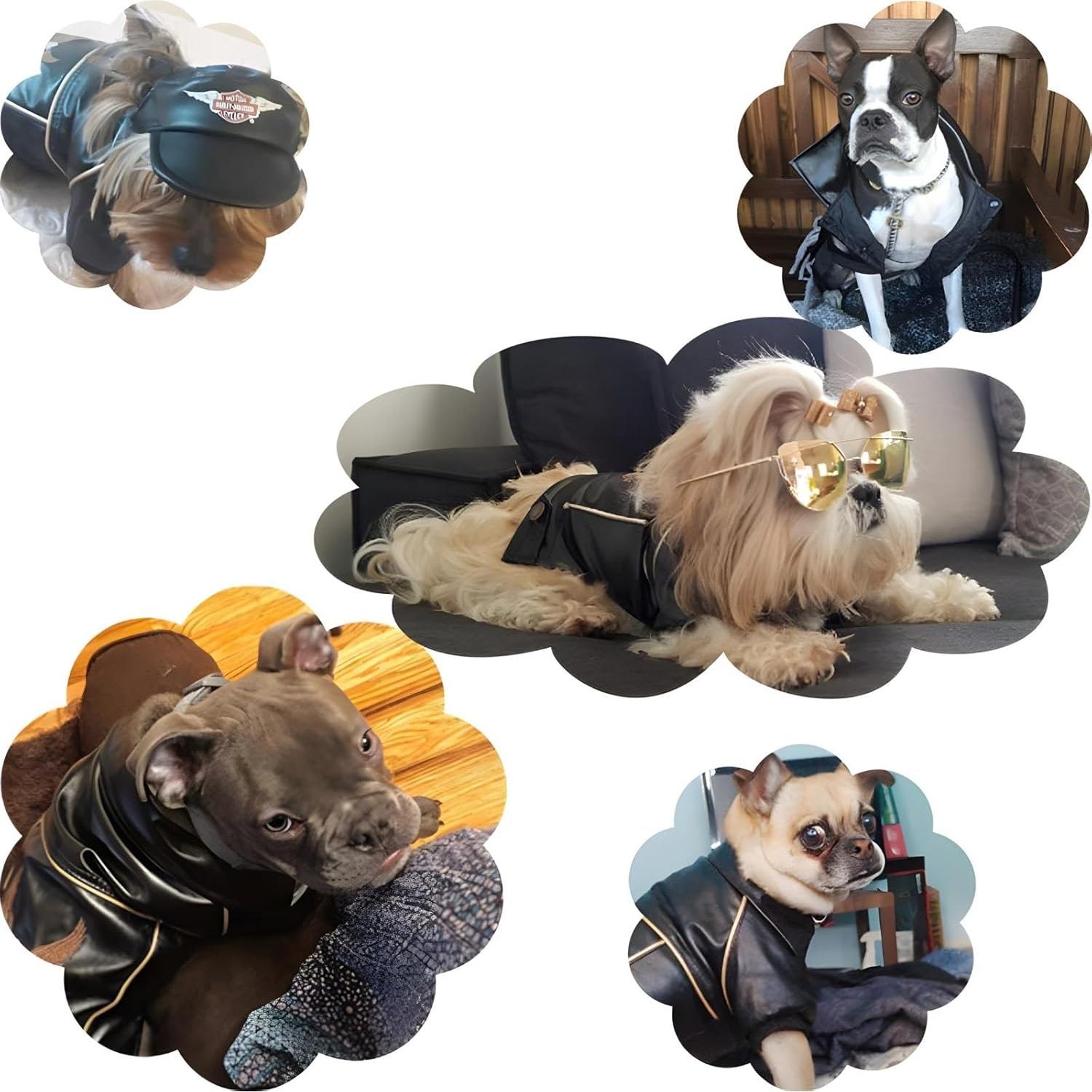 Chaqueta de Cuero para Perros NIULA 2XL Impermeable Negra