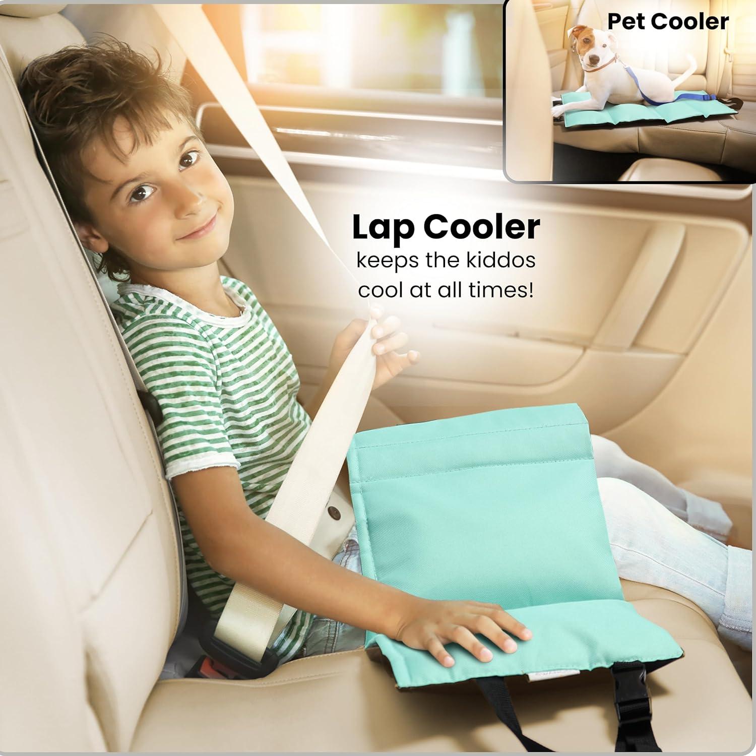 Almohadilla de Enfriamiento para Asiento de Auto Swanoo - 4 Paquetes de Hielo