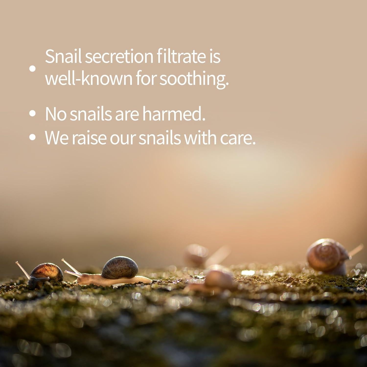 Mascarilla Facial Benton de Caracol y Veneno de Abeja 10 Hojas