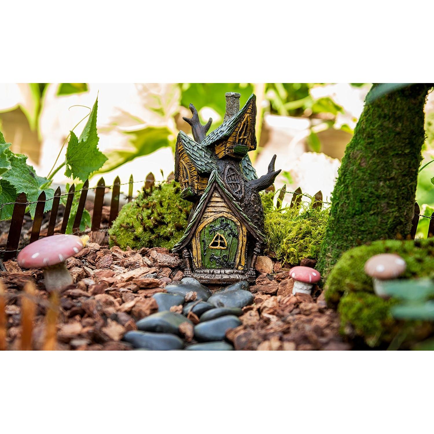 Kit de Jardín de Hadas SuperMoss 113.4 g Musgos Mixtos