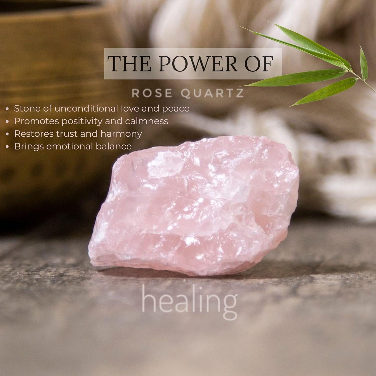 Jardín Zen para Escritorio Earthy Blendz 28x19 cm Negro