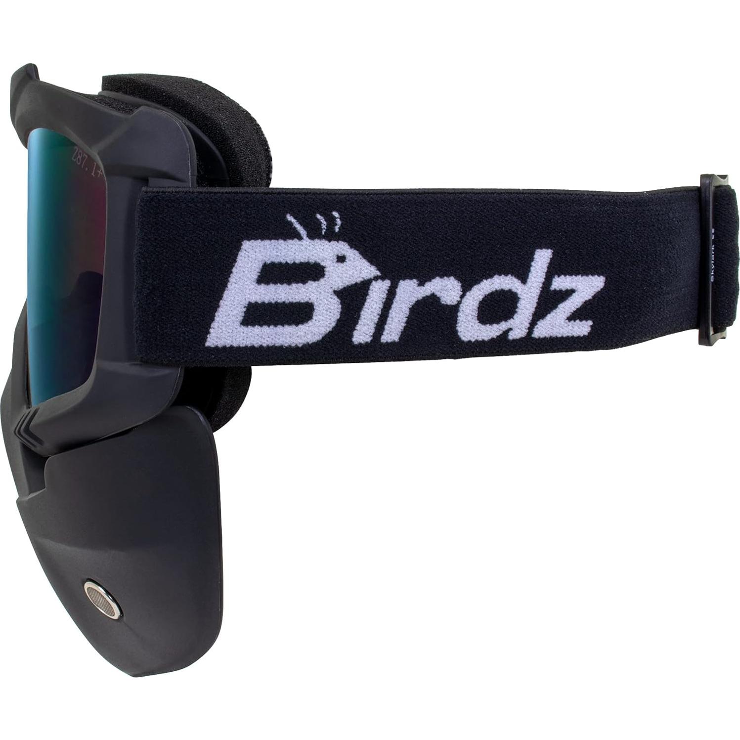 Gafas de Motocicleta Birdz Skylark con Máscara Desmontable