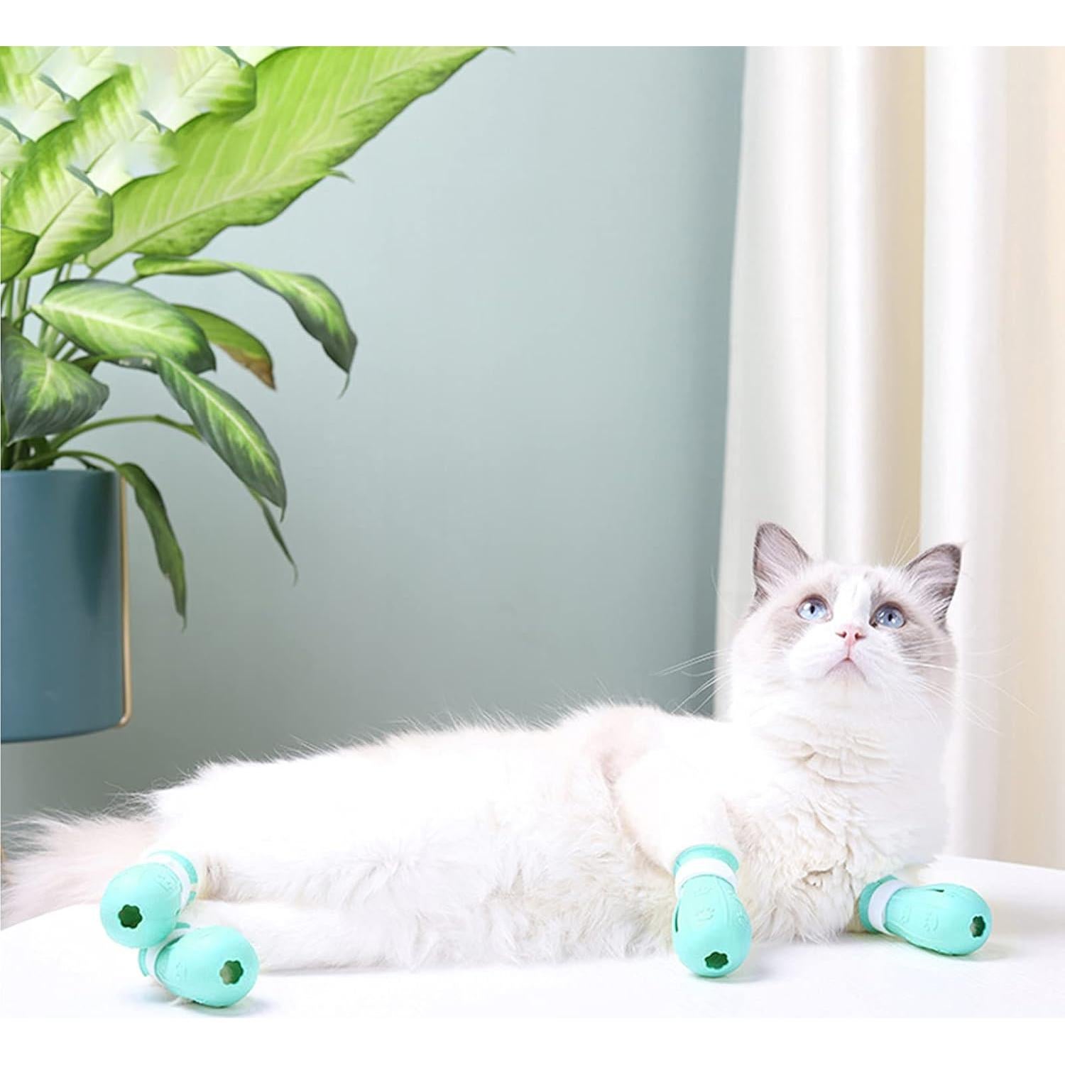 Botas de Silicona Ajustables para Gatos MSMUOEZ G400 Verde