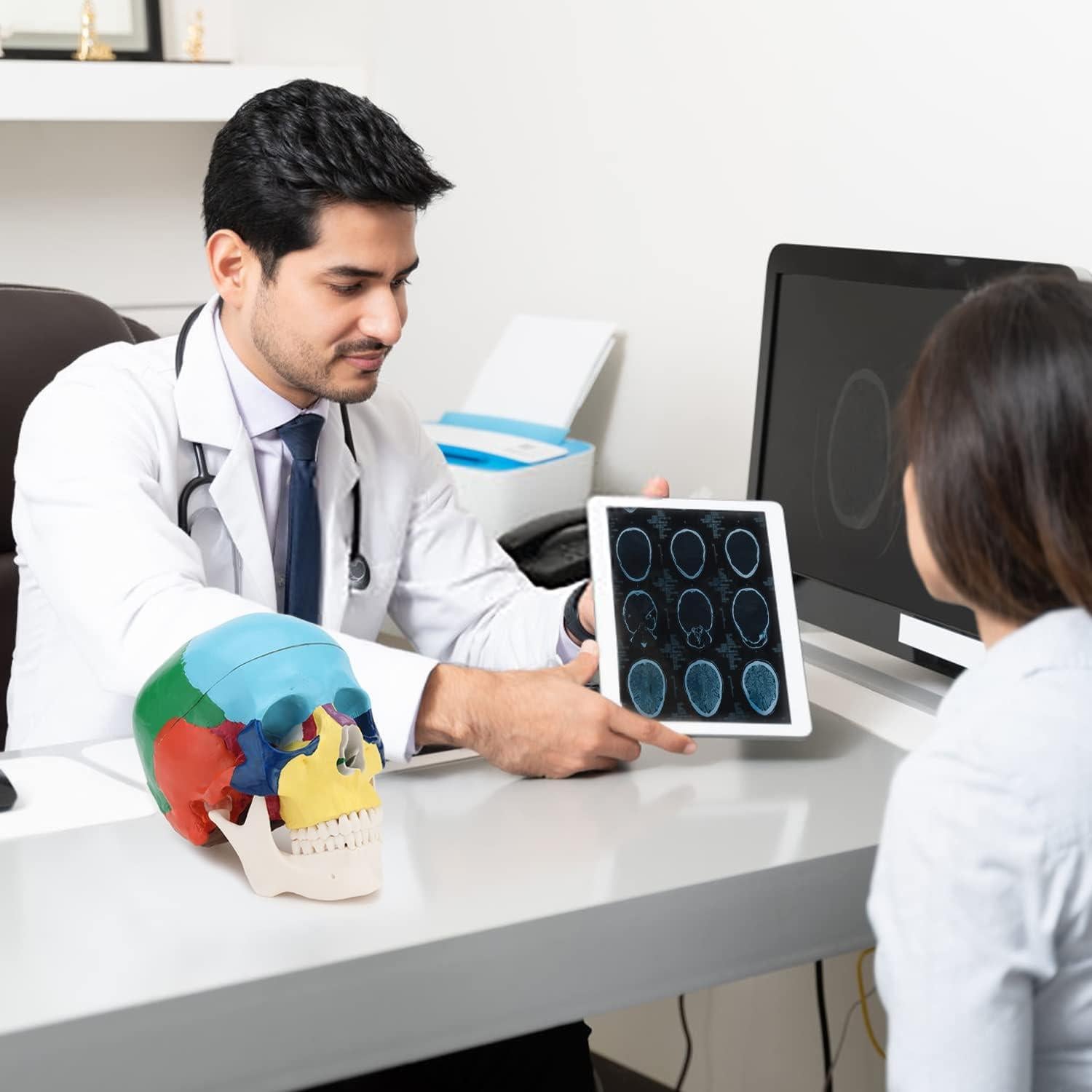 Modelo Anatómico de Cráneo Humano RONTEN 3 Partes PVC