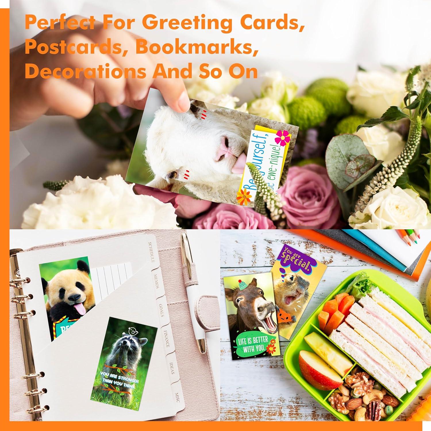 Gethelud 200 Tarjetas Motivacionales de Animales 5x8.8cm