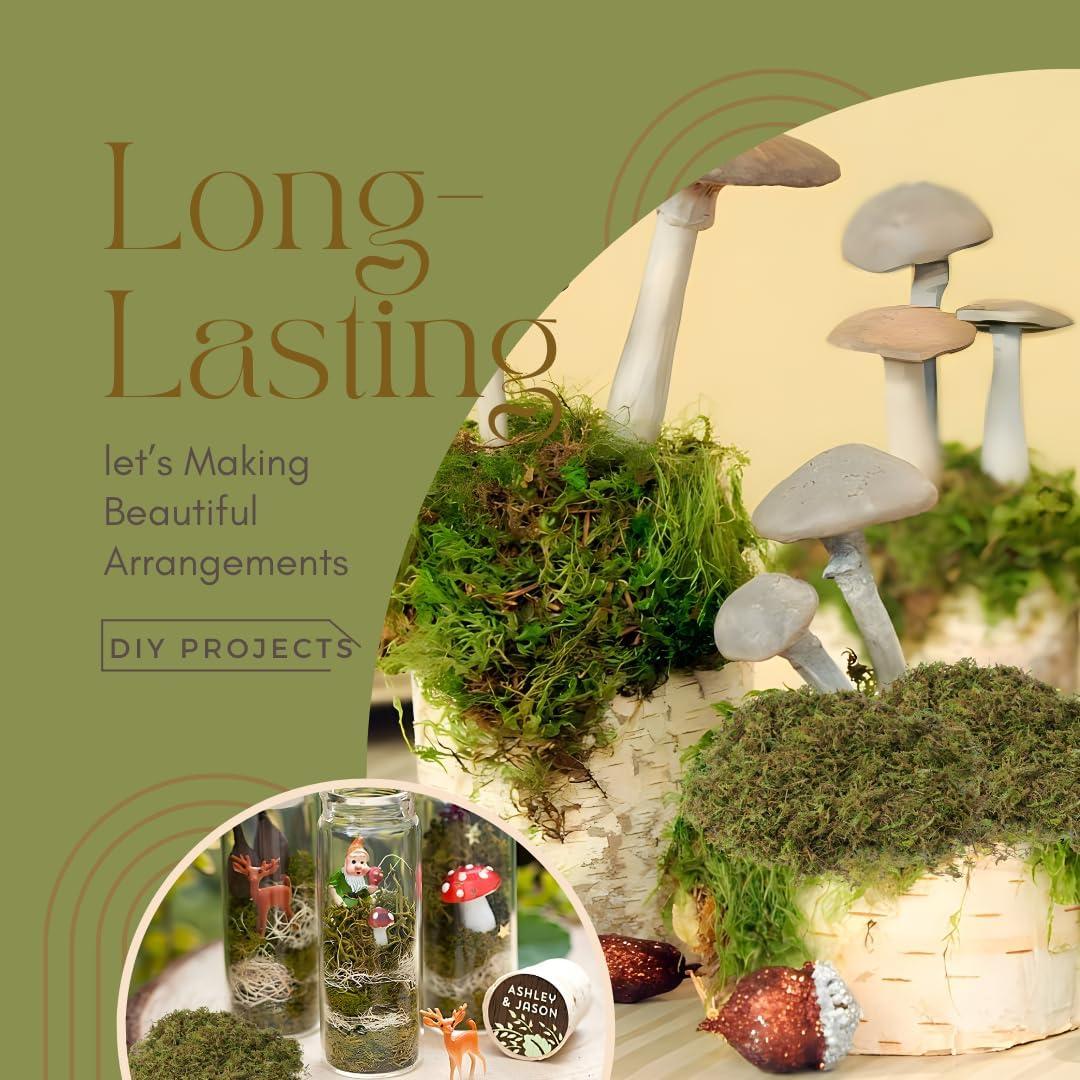 Musgo Falso USMOLA 140g para Decoración de Plantas y Manualidades