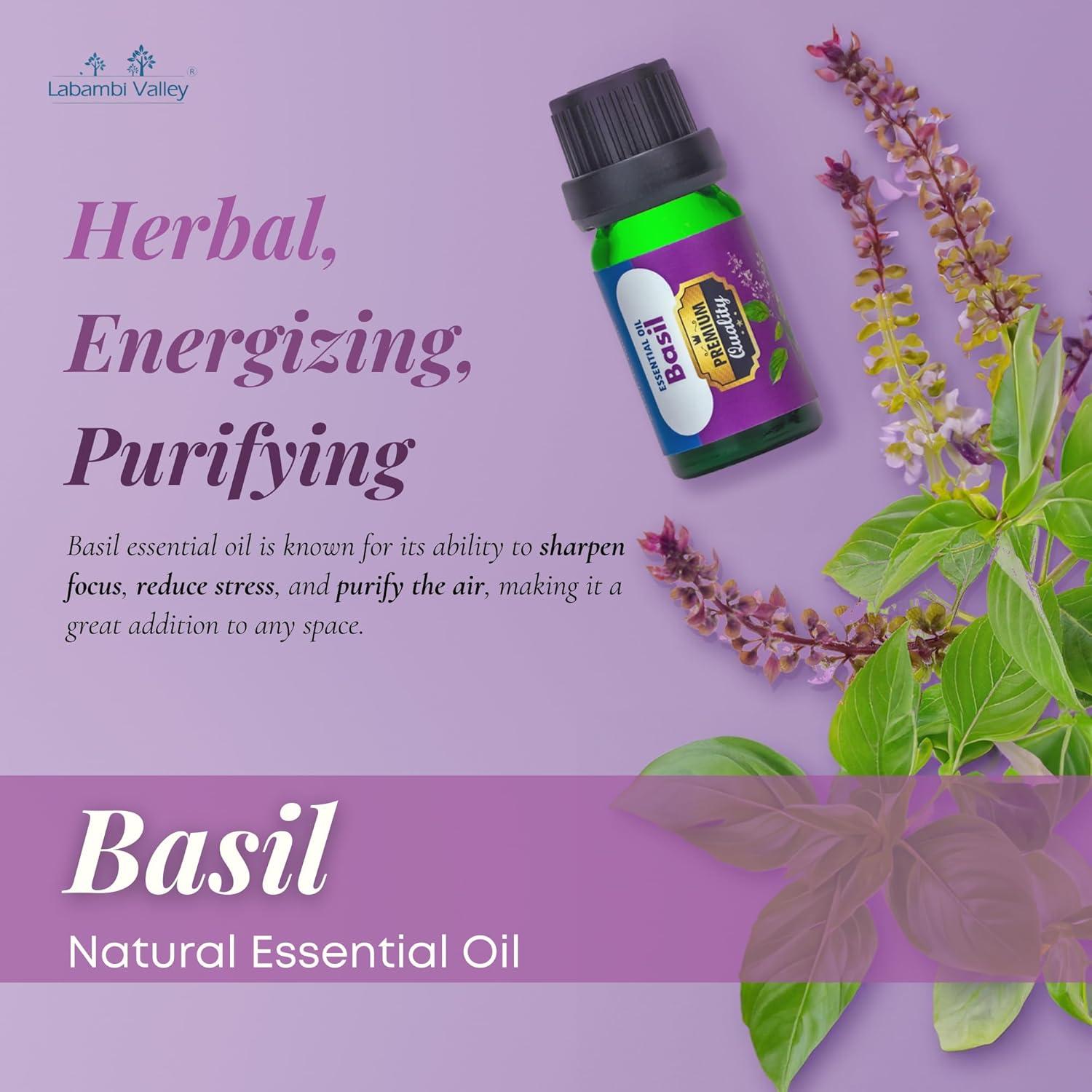 Aceite Esencial Puro Albahaca 10ml Labambi Valley - Aromaterapia