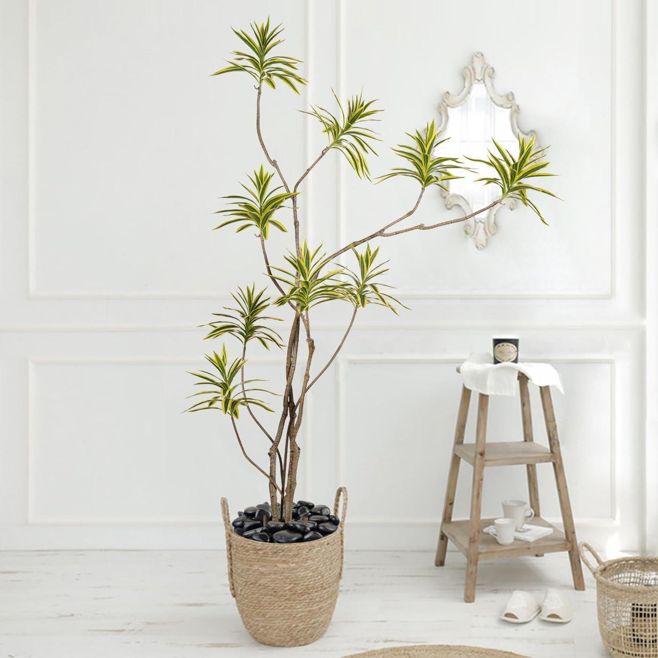 Piedras Negras Pulidas FANTIAN 0.91 kg para Jardín y Acuario