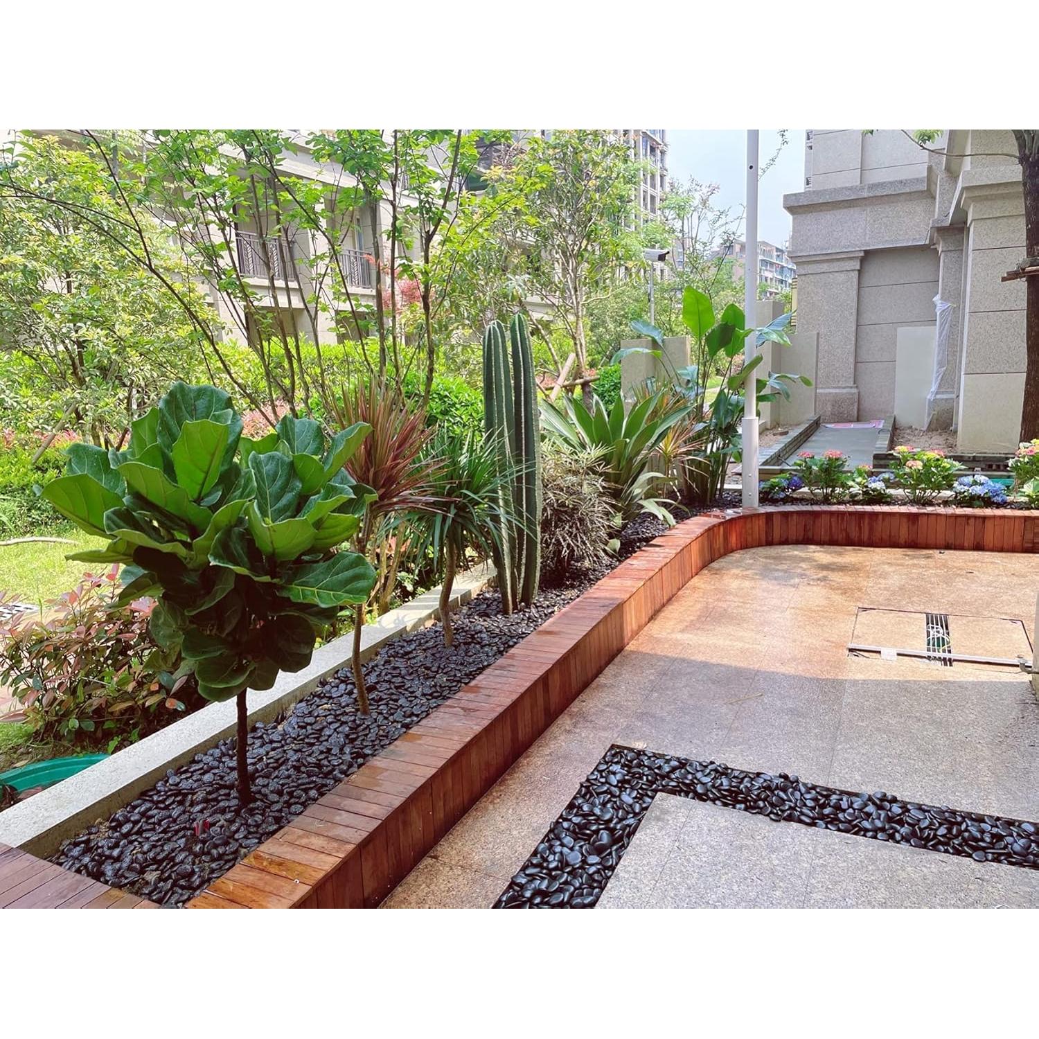 Piedras Negras Pulidas FANTIAN 0.91 kg para Jardín y Acuario