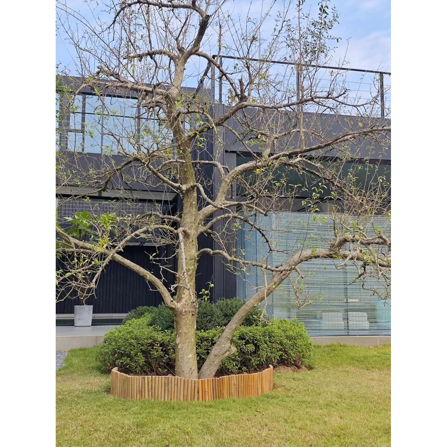 Cerca de Bambú Flexible HTWNK 43.2x10.9 cm para Jardín