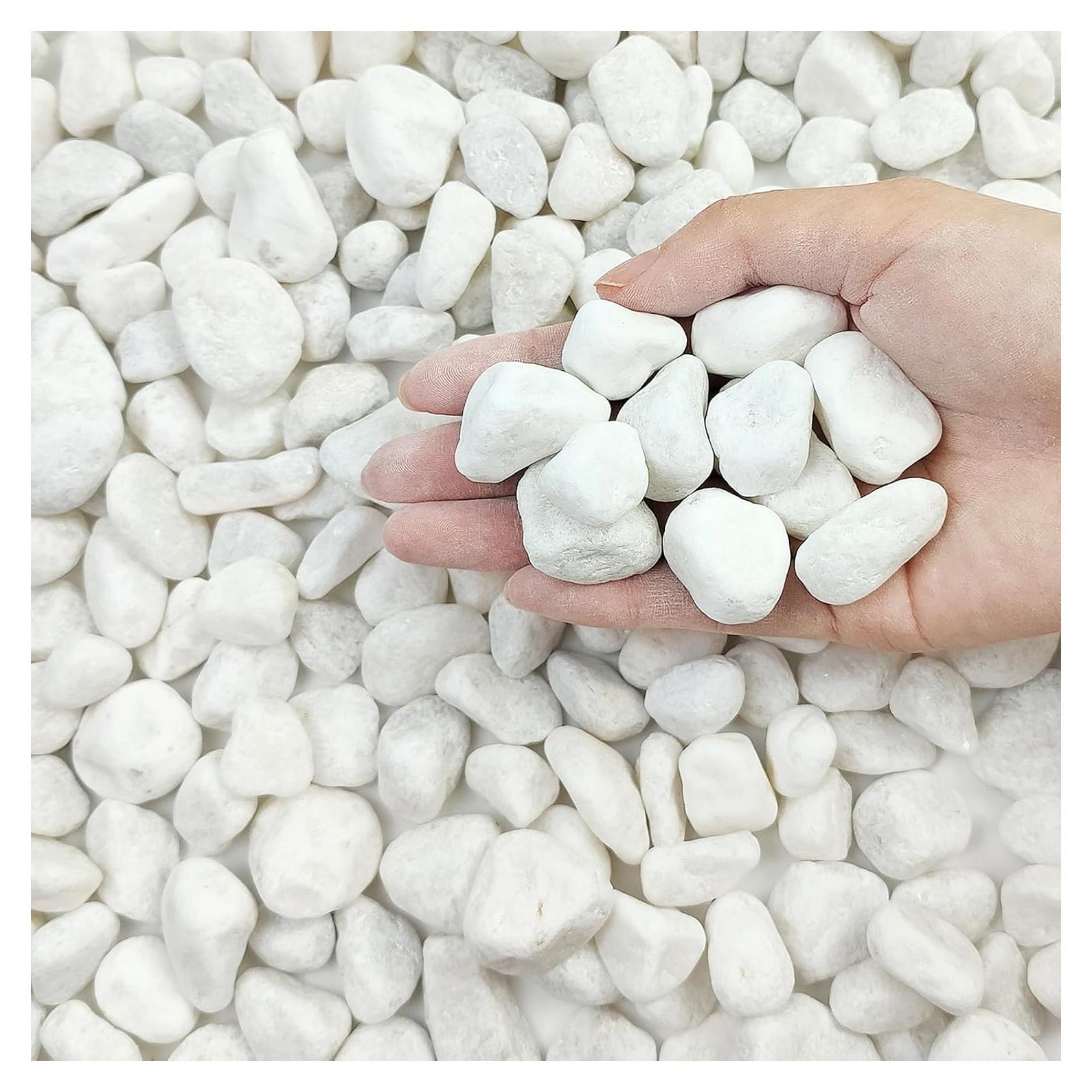 Piedras Blancas para Plantas FANTIAN 2.27 kg 0.5-1 cm Decorativas