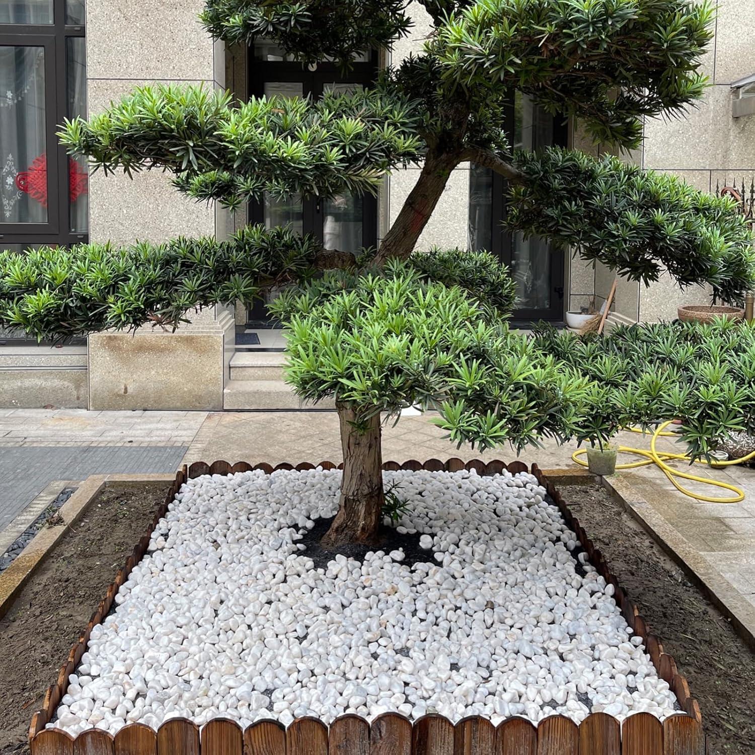 Piedras Blancas para Plantas FANTIAN 2.27 kg 0.5-1 cm Decorativas