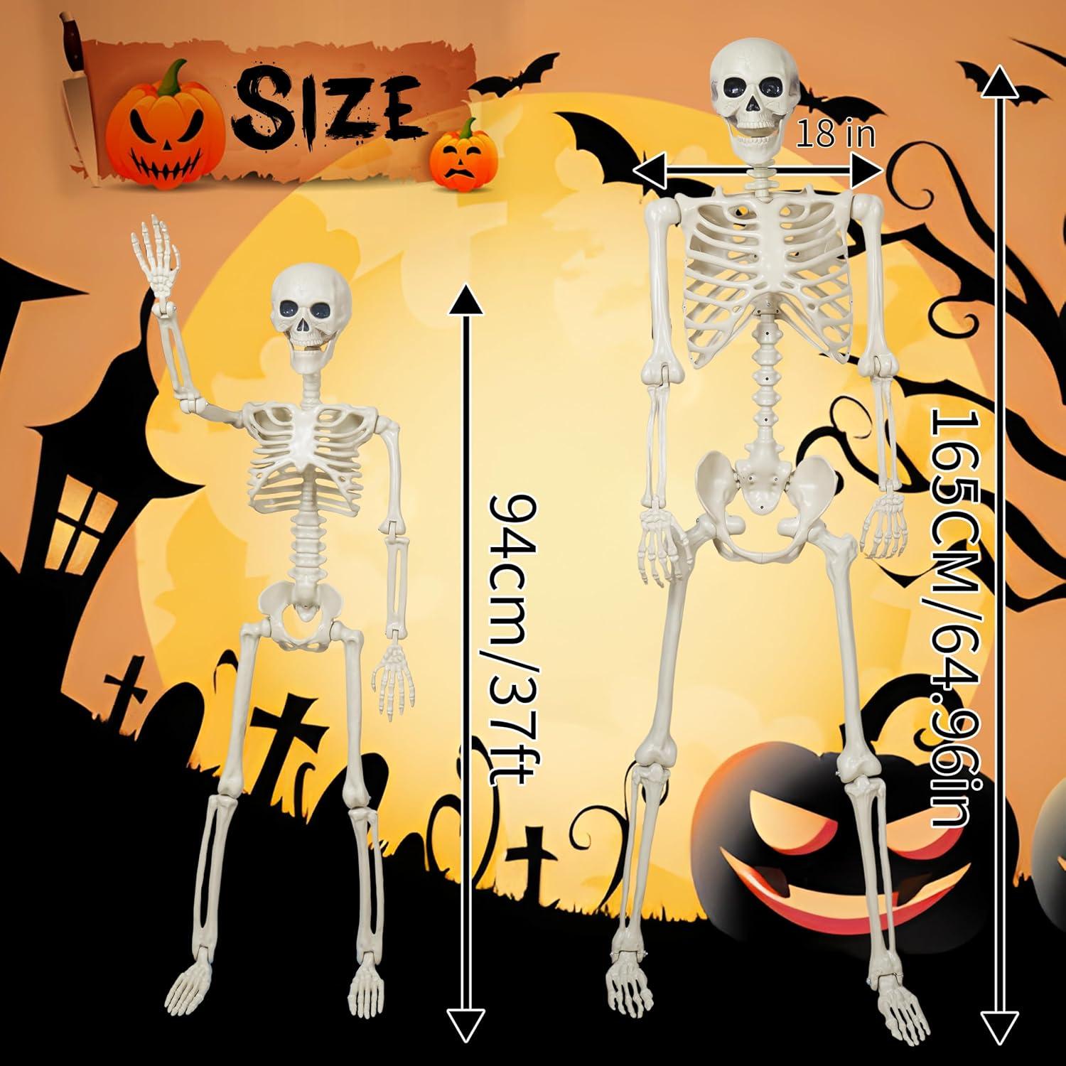 Esqueleto Halloween Breesky 1.64 m y 0.91 m articulado