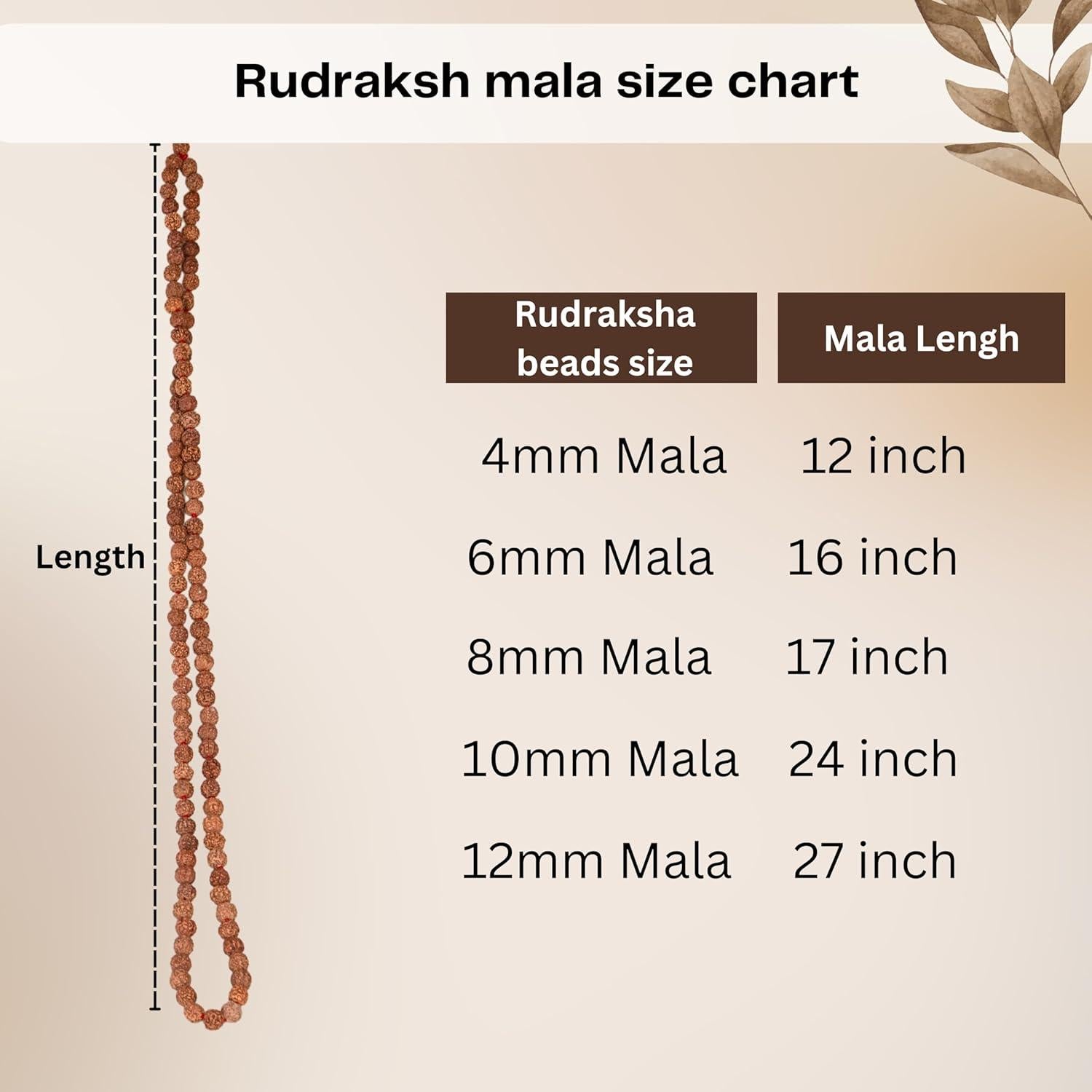 Mala de Rudraksha Wonder Care 5 Caras 12-15mm Japa Mala