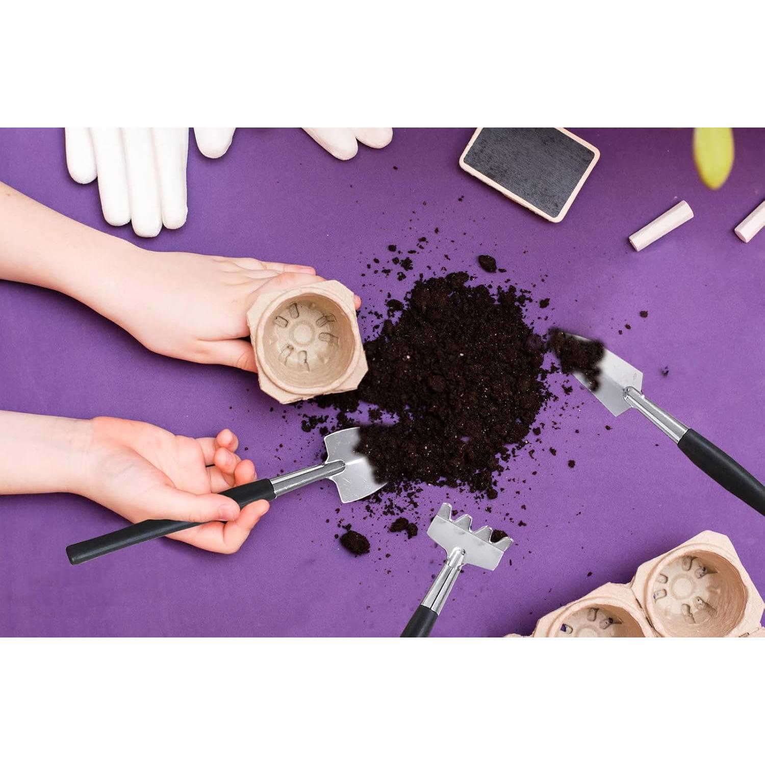 Kit de Herramientas para Suculentas Wobodan 12 Piezas Jardinería