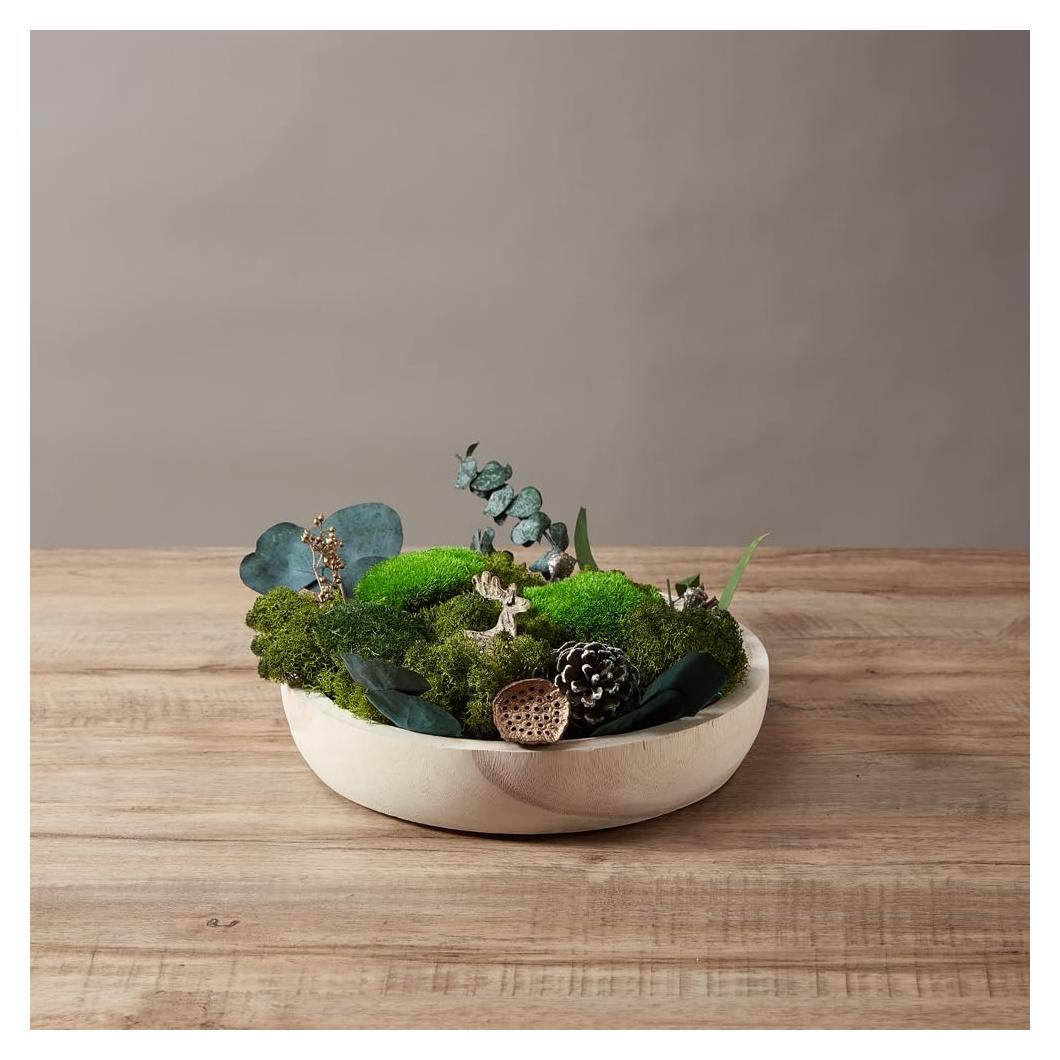 Musgo Verde Natural Conservado para Decoración 0.2kg