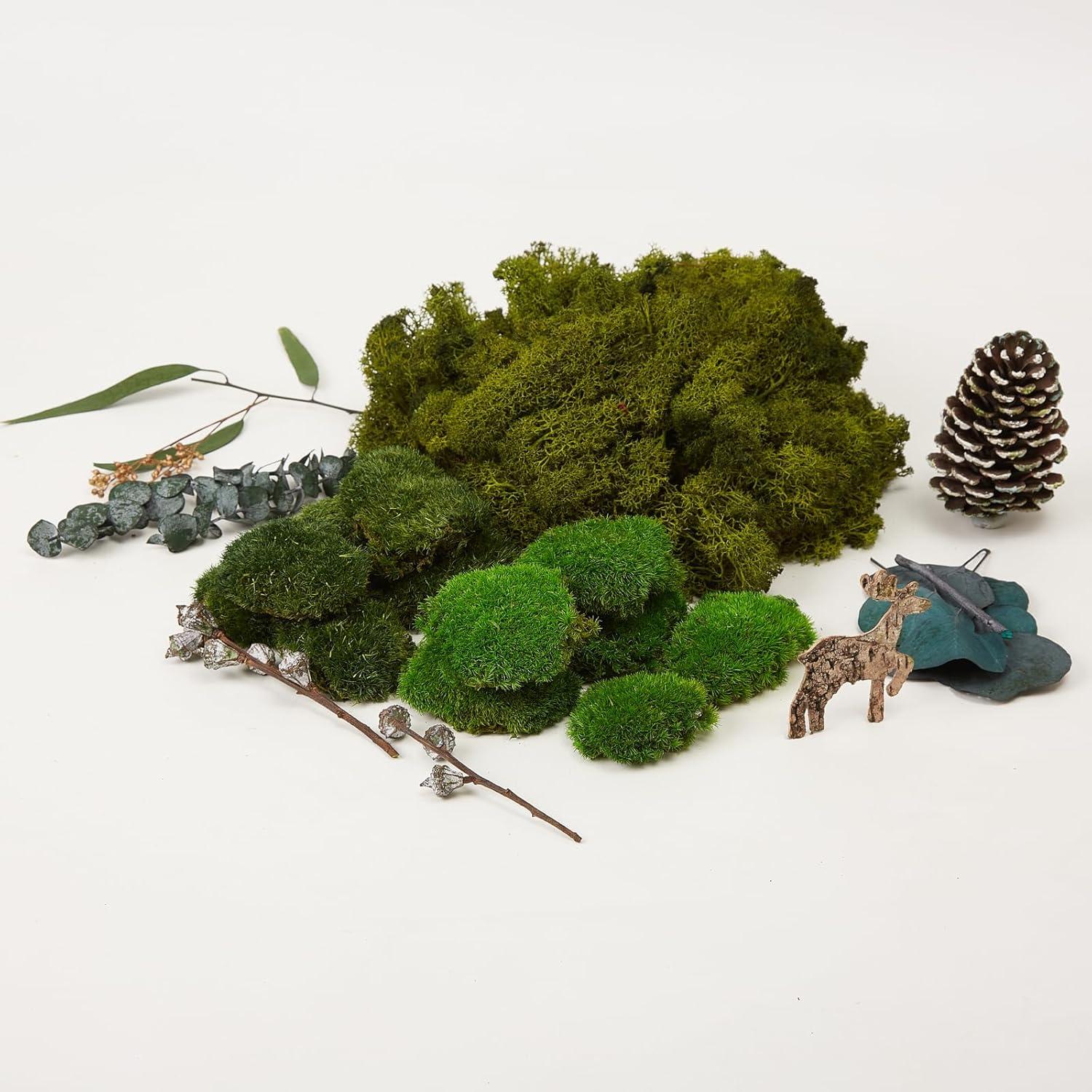 Musgo Verde Natural Conservado para Decoración 0.2kg