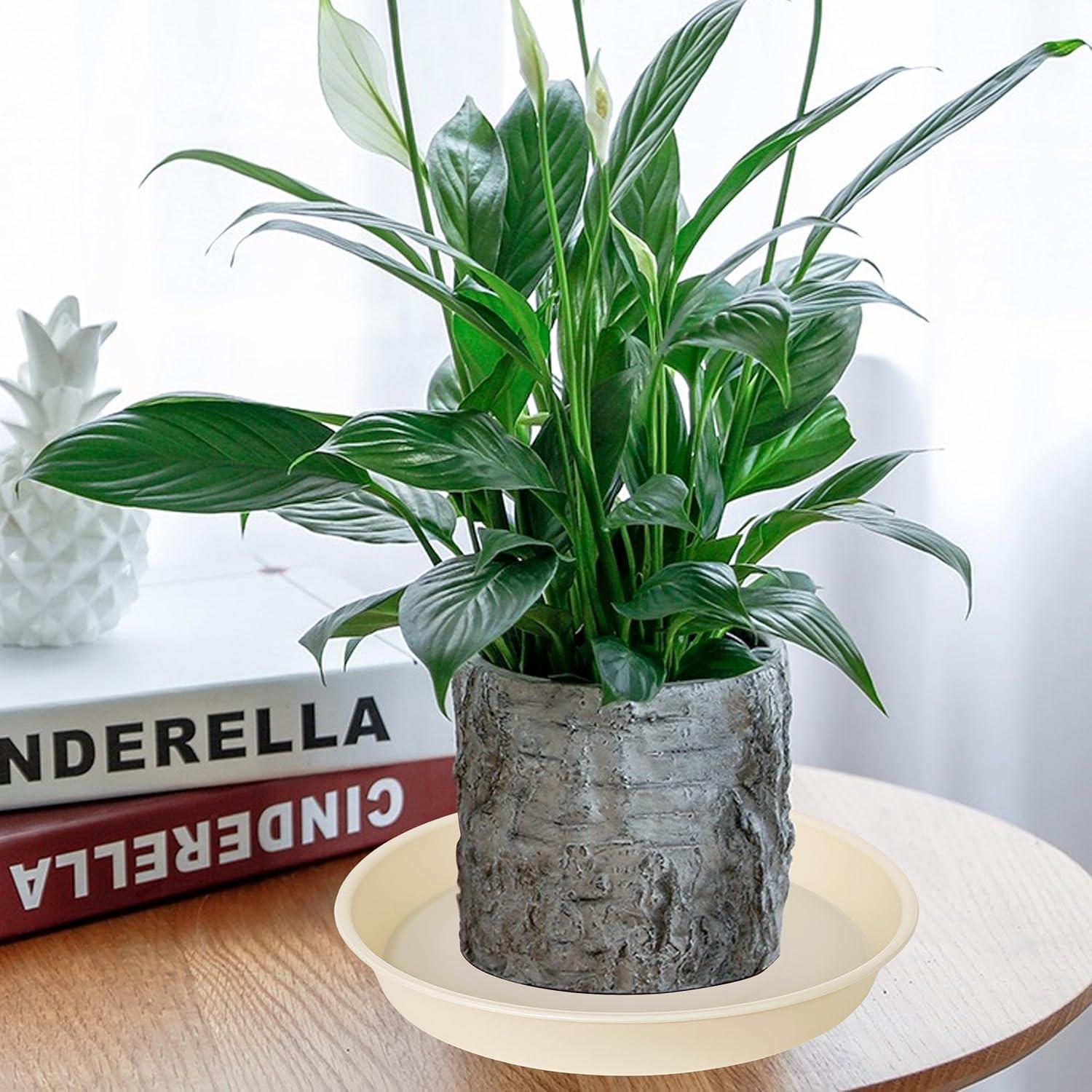 6 Platos de Drenaje Beige Bleuhome 10.16 cm para Macetas