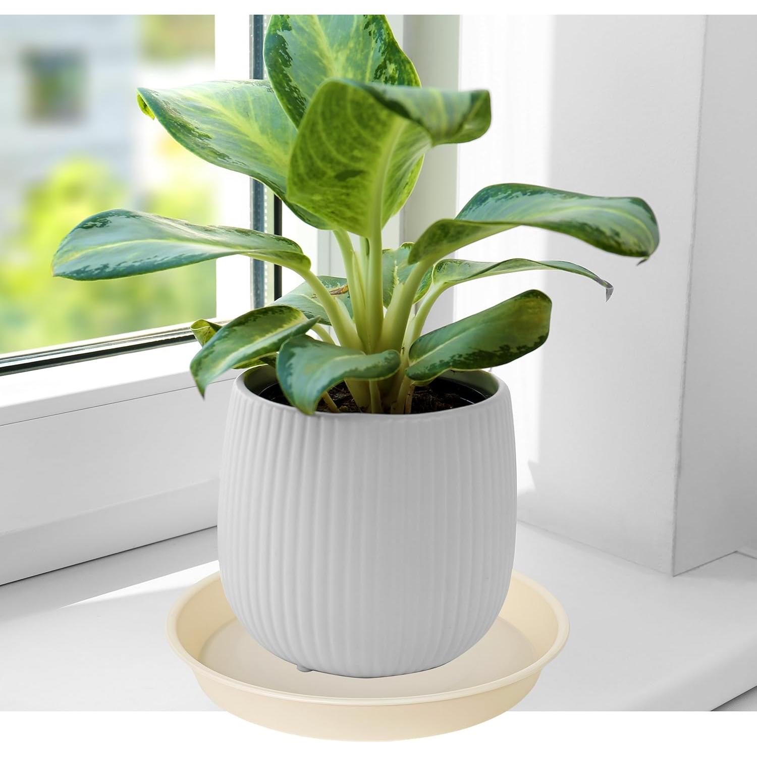 6 Platos de Drenaje Beige Bleuhome 10.16 cm para Macetas