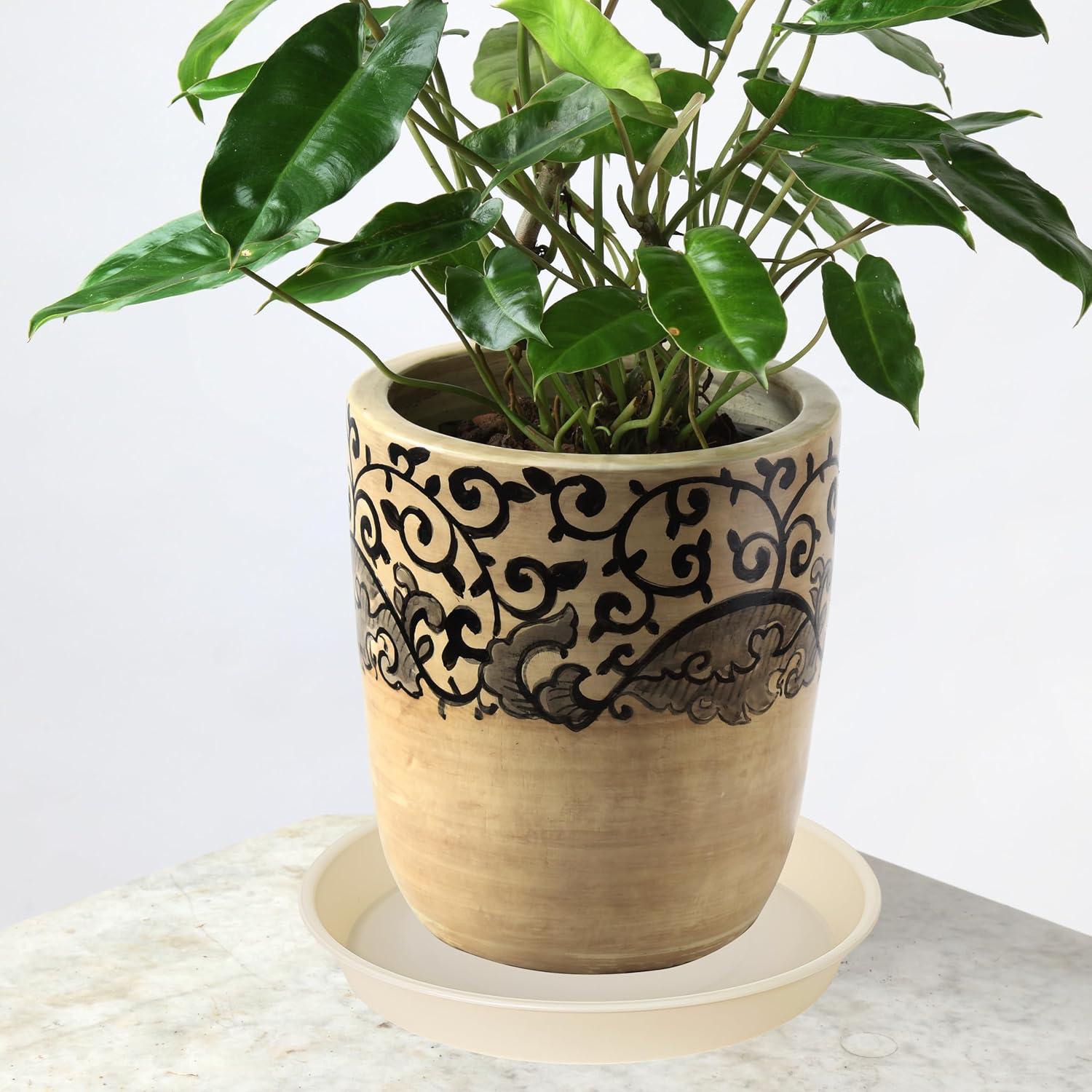 6 Platos de Drenaje Beige Bleuhome 10.16 cm para Macetas