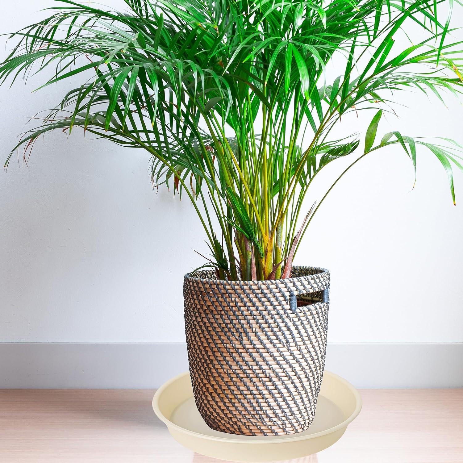 6 Platos de Drenaje Beige Bleuhome 10.16 cm para Macetas