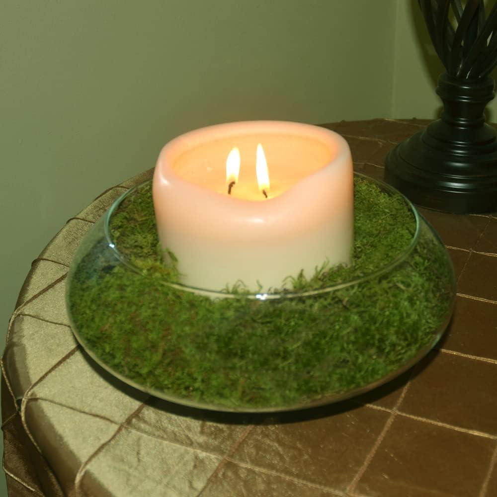 Musgo en Hoja Natural Mosser Lee 2096.75 cm² Paquete de 2