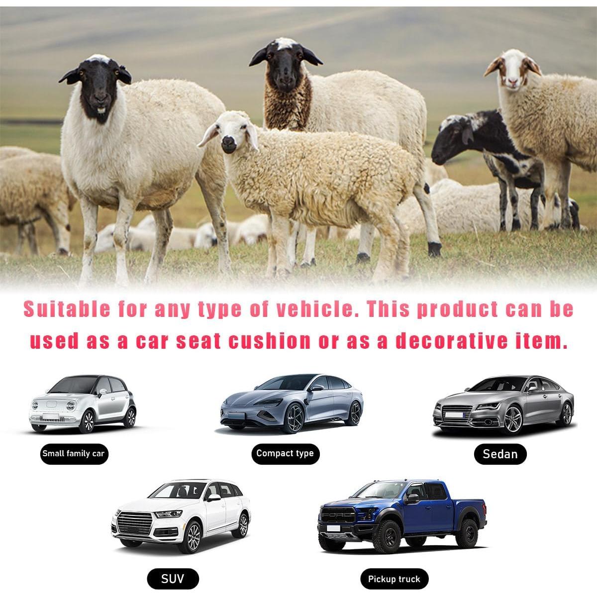 Cojín de Asiento de Cordero Ohleats 43.9x43.2cm Negro