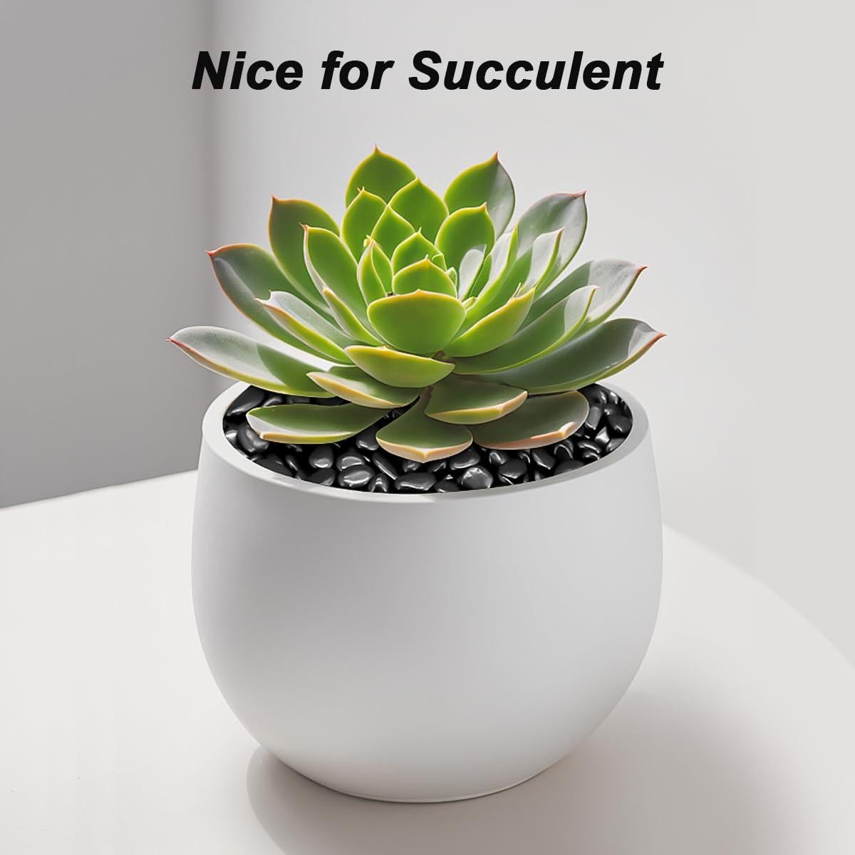 Piedras Decorativas Naturales Virekm 1 kg para Jardín y Acuarios