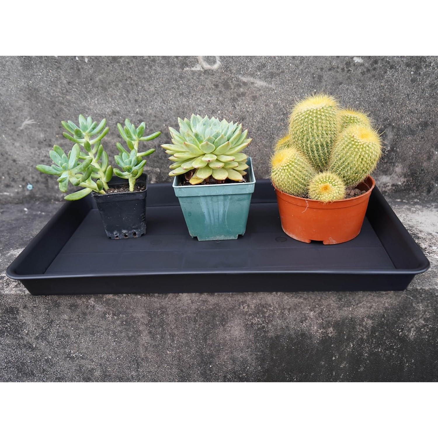 Bandeja de Cultivo VUWEZ 27.94x22.86cm Plástico Negro