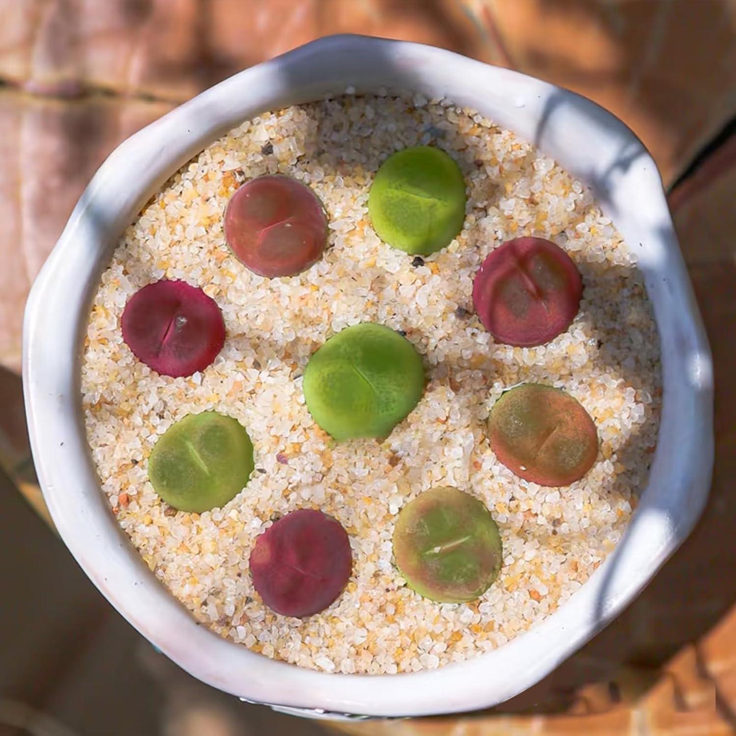 Arena de Acuario Beige 0.91 kg YISZM - Sustrato Natural